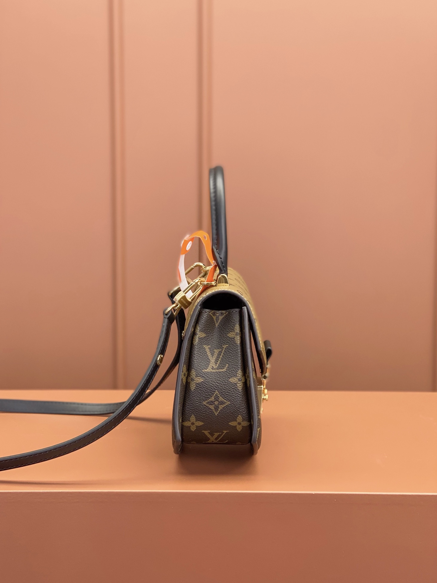 LV Bag