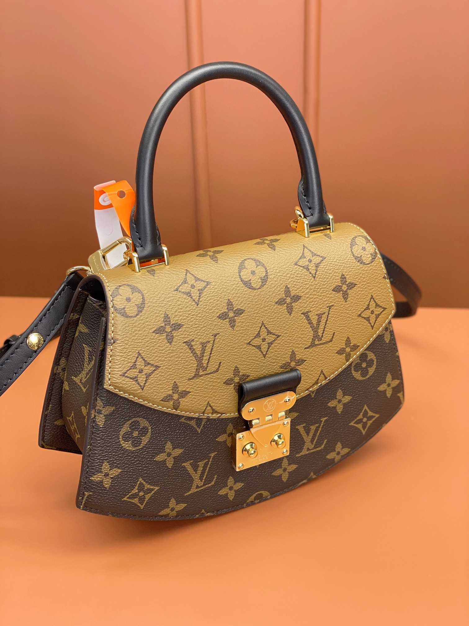 LV Bag