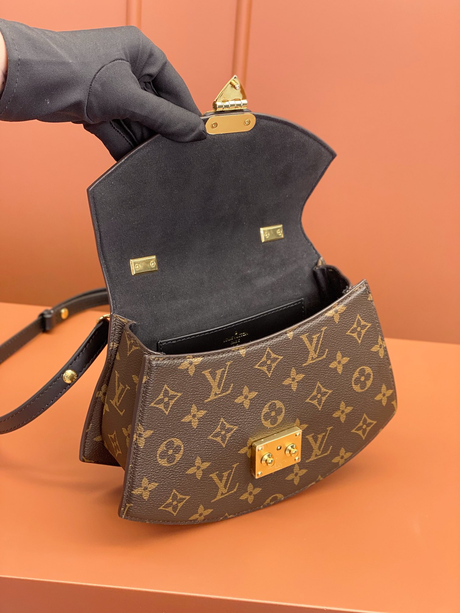 LV Bag