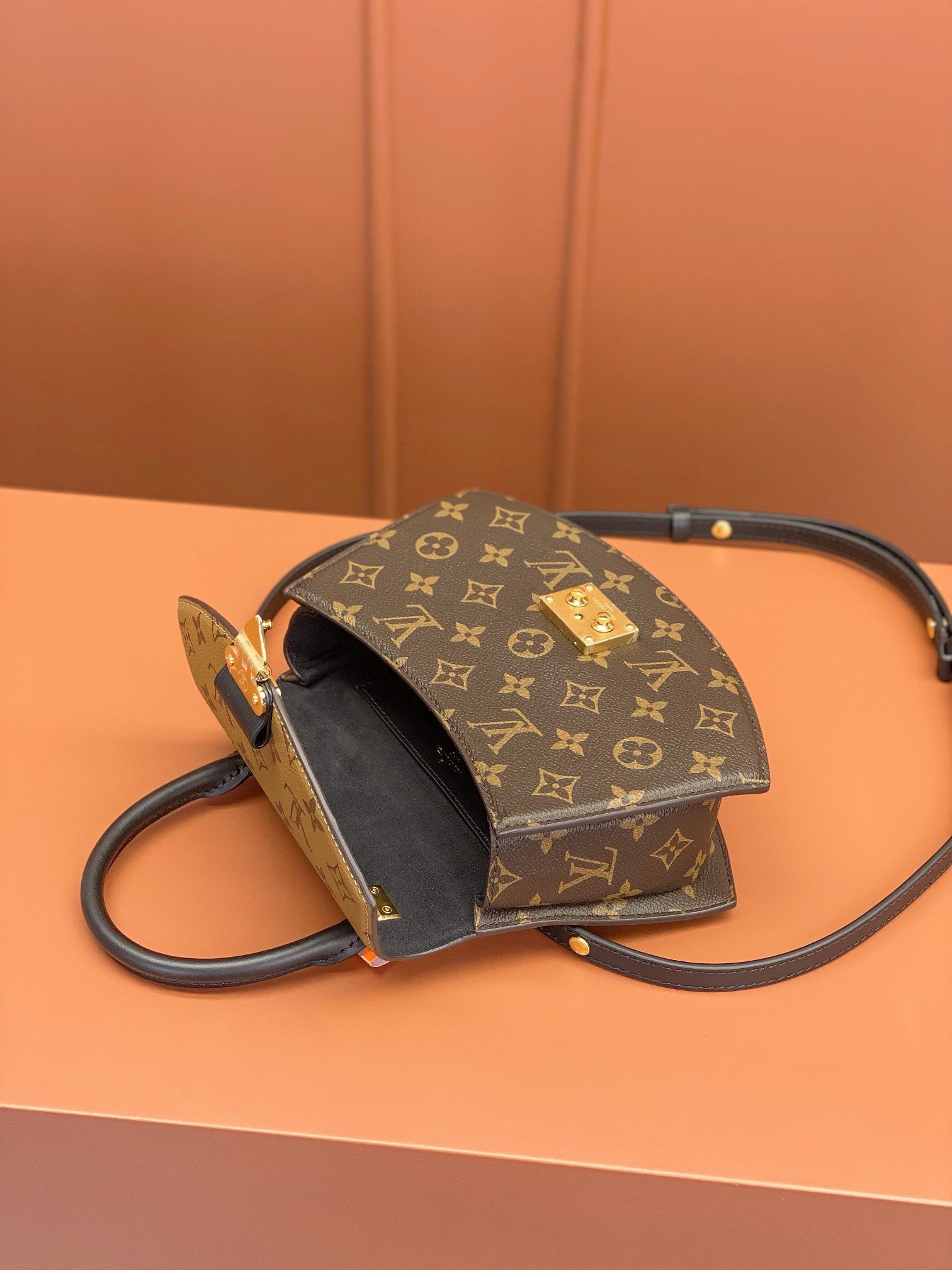 LV Bag