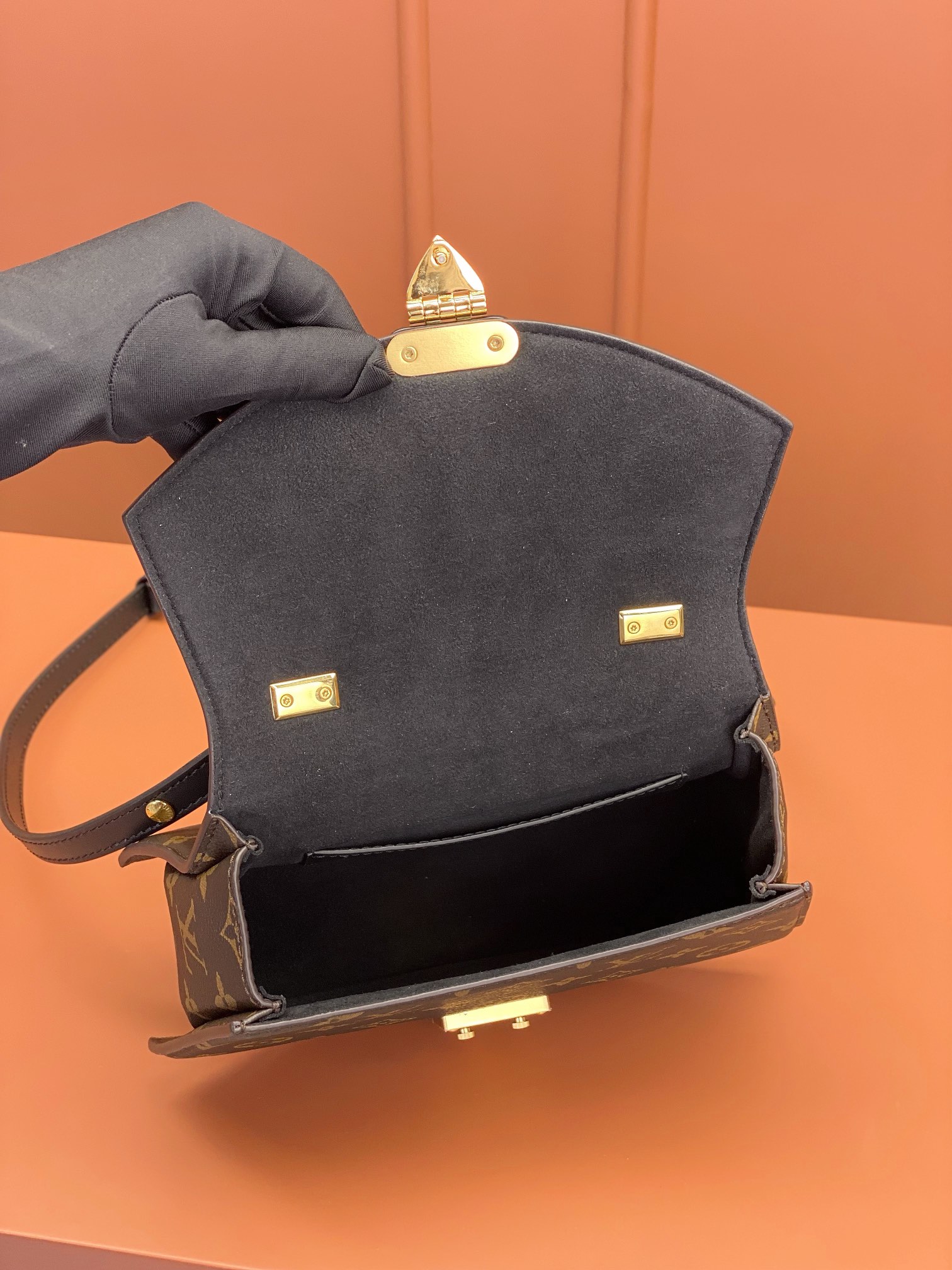 LV Bag