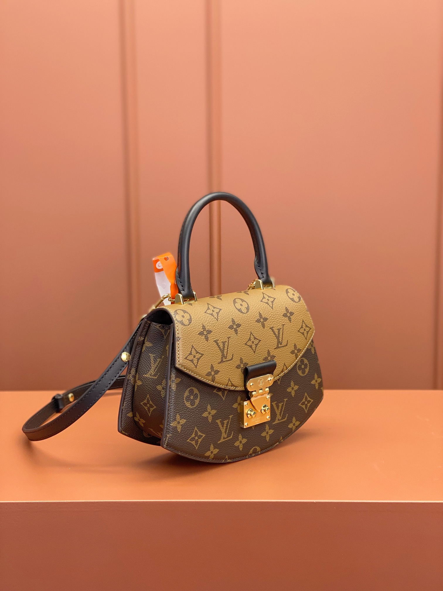 LV Bag