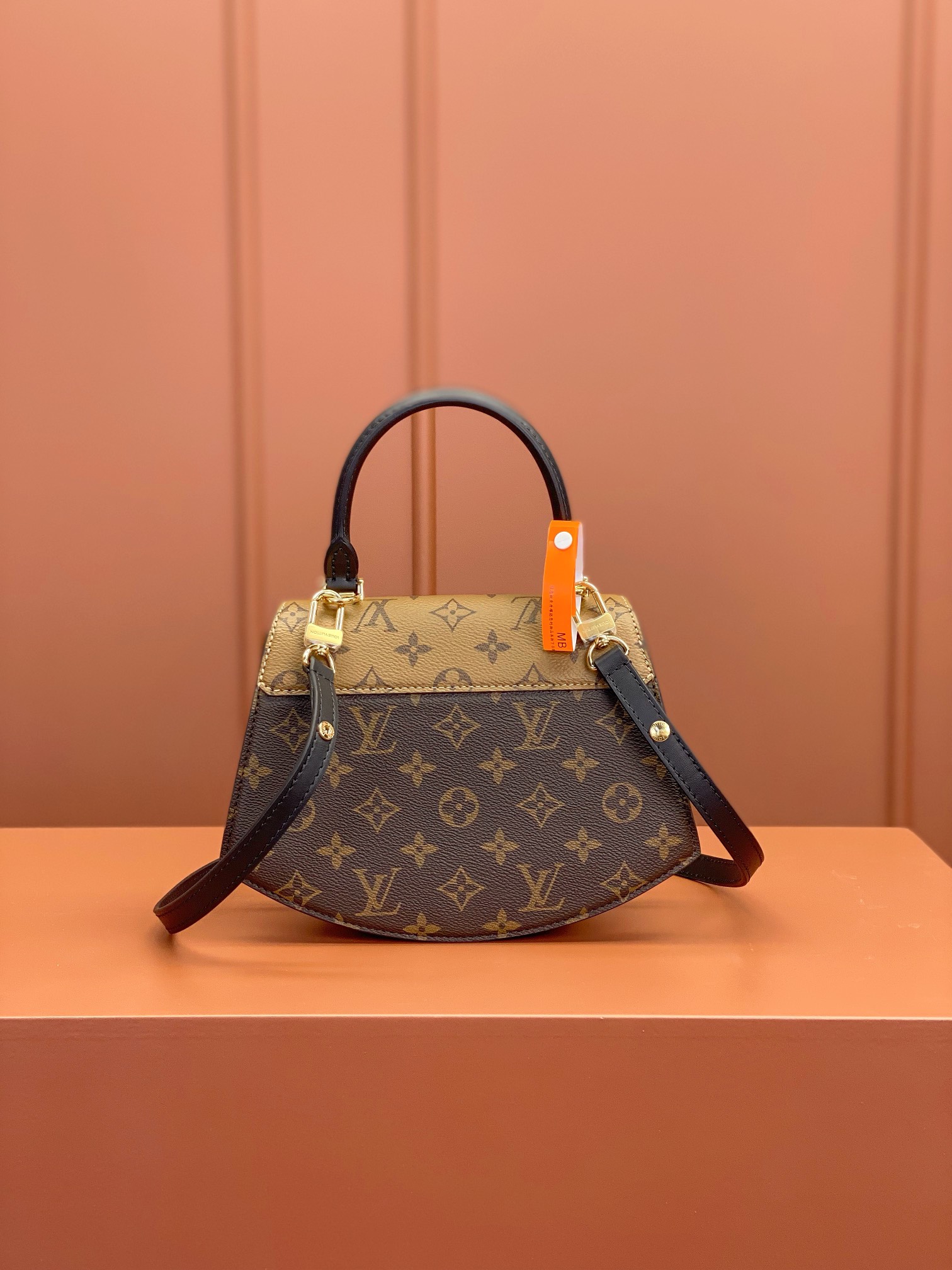 LV Bag