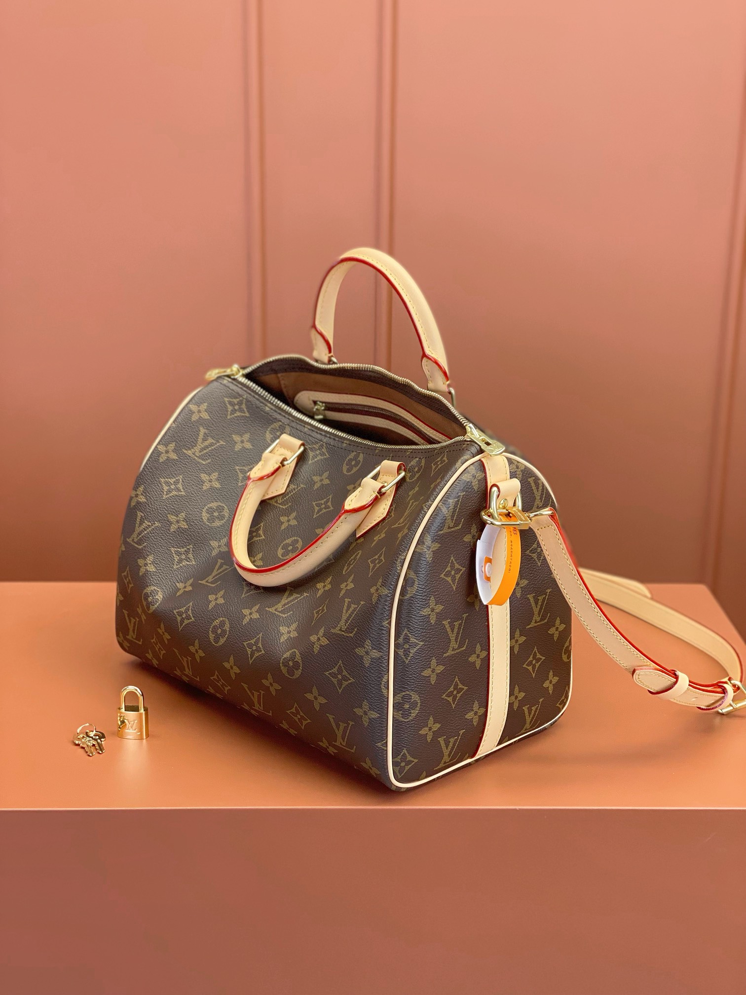 LV Bag