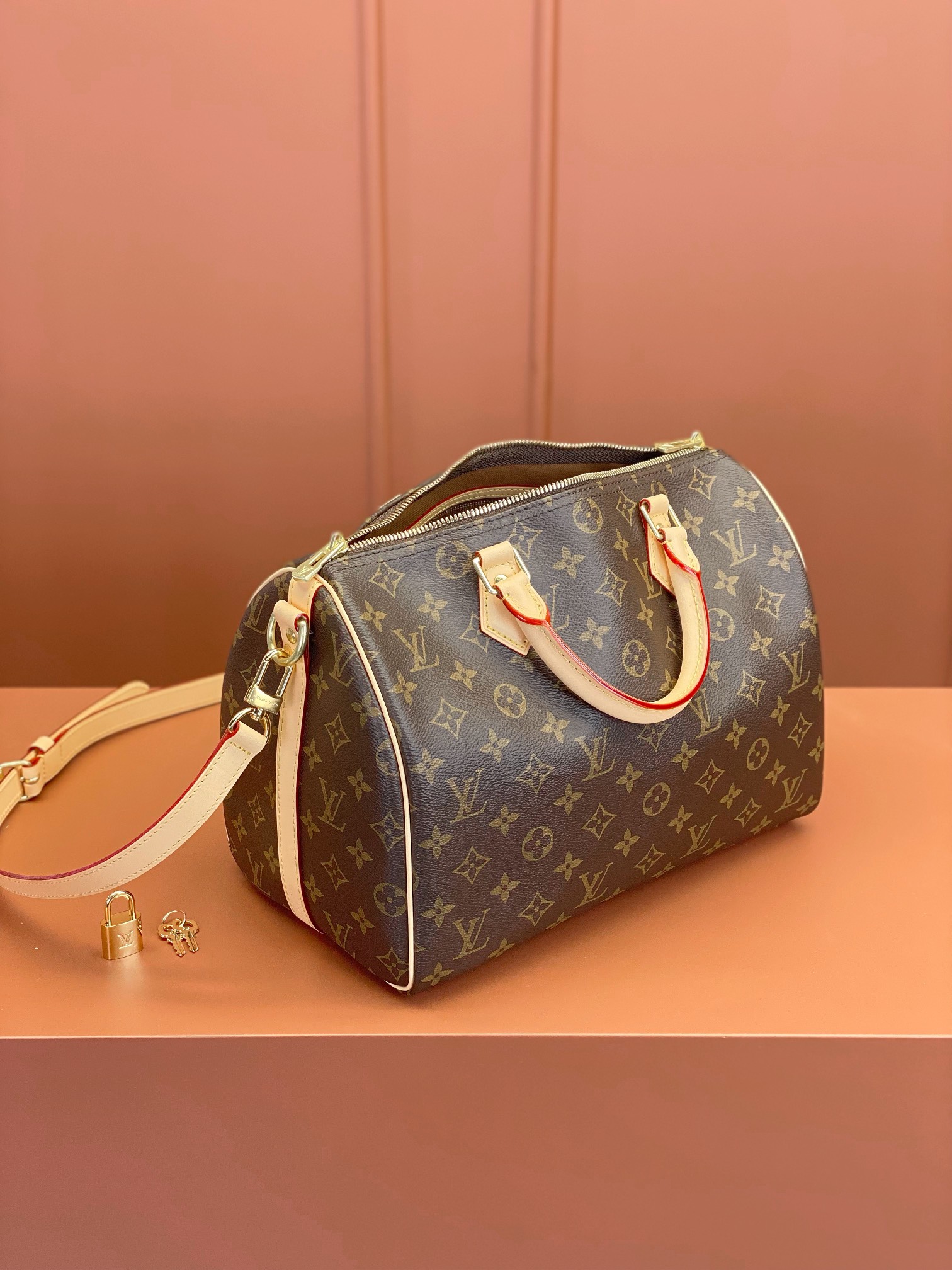 LV Bag