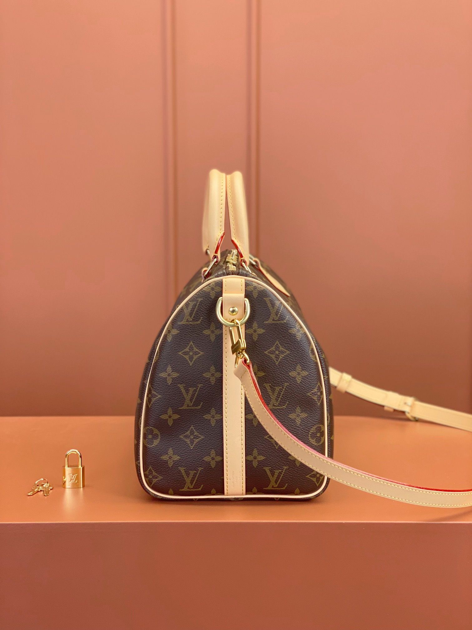 LV Bag