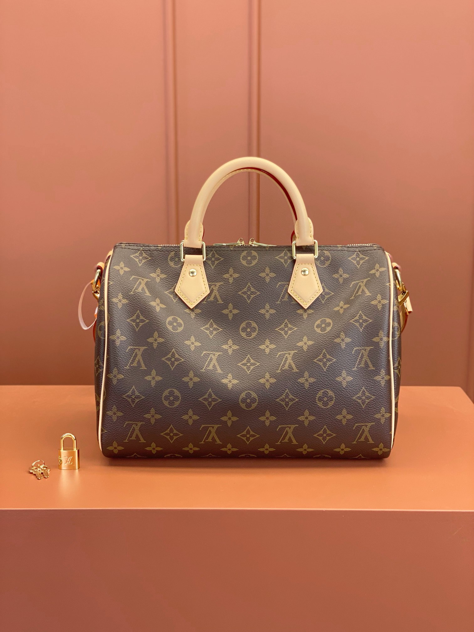 LV Bag