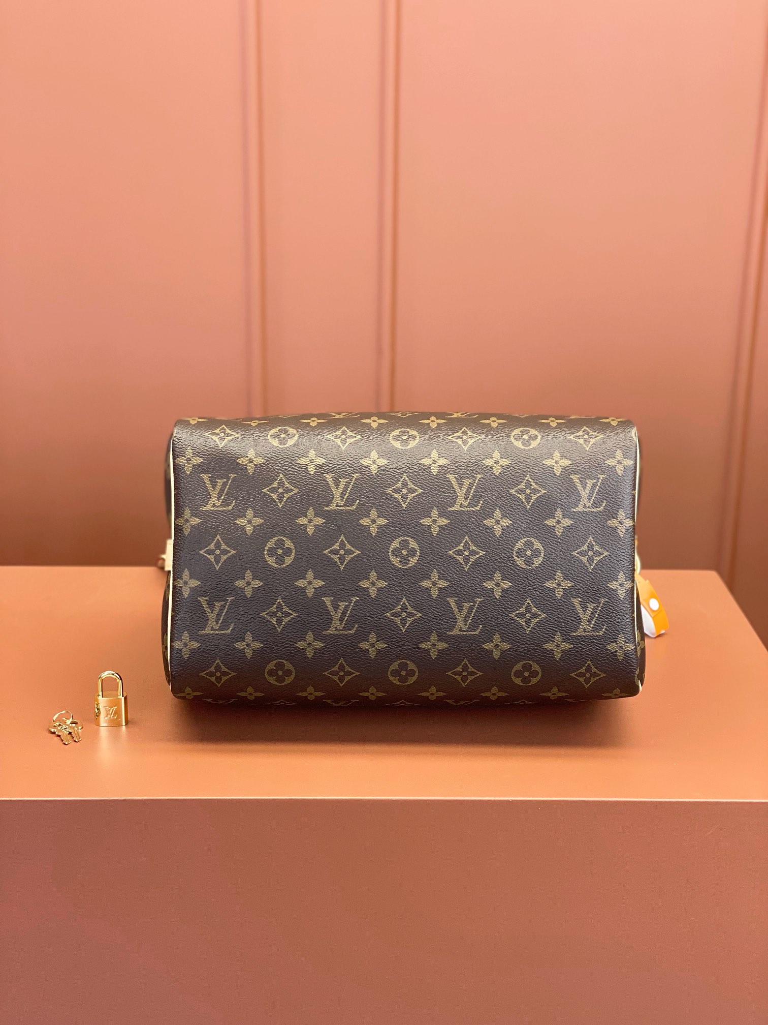 LV Bag