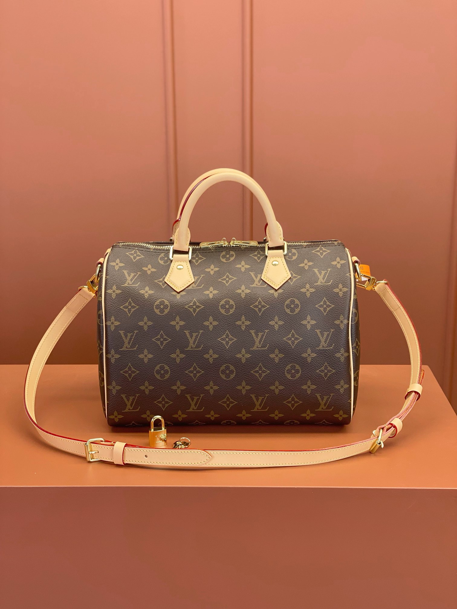 LV Bag