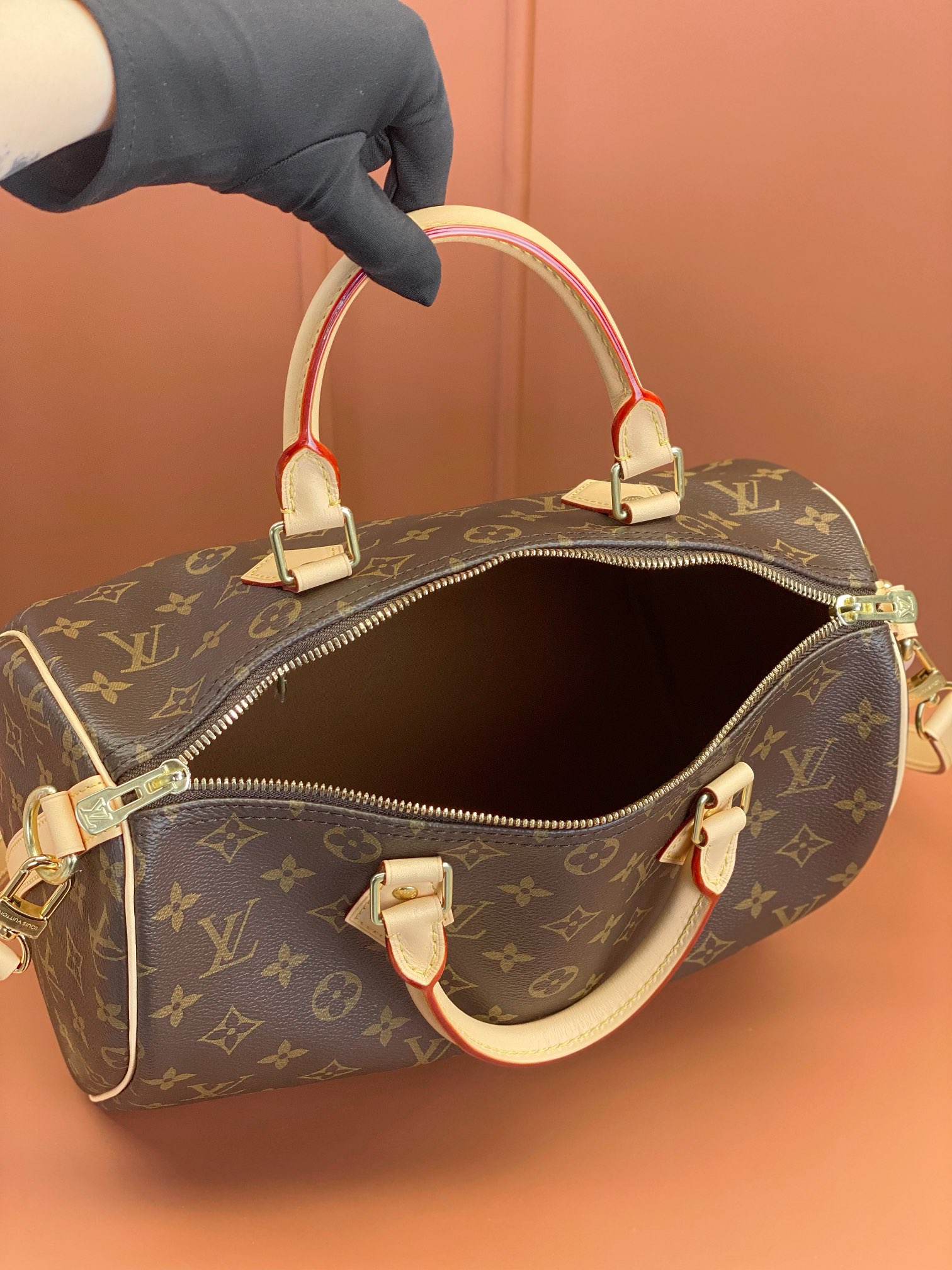 LV Bag