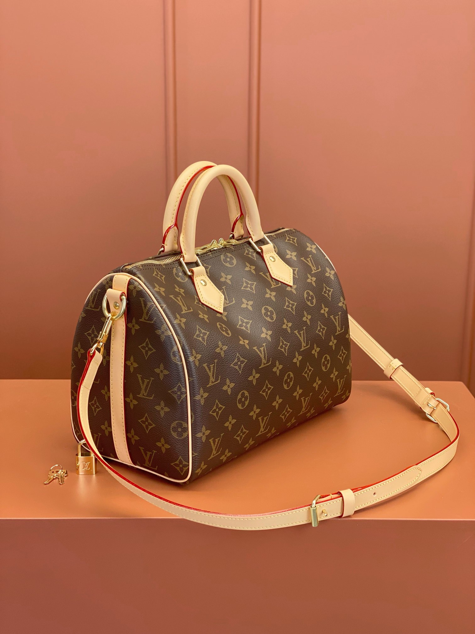 LV Bag