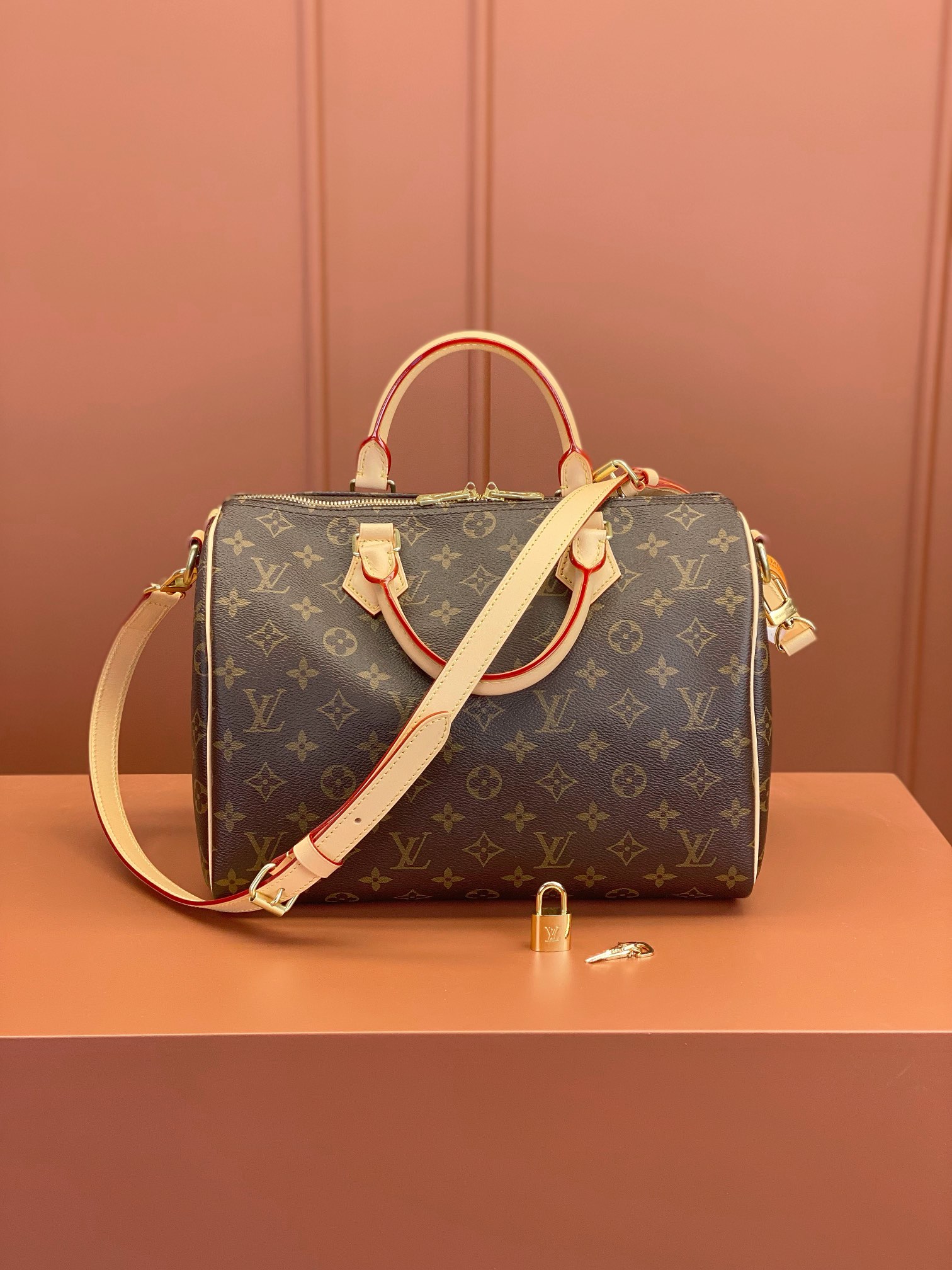 LV Bag