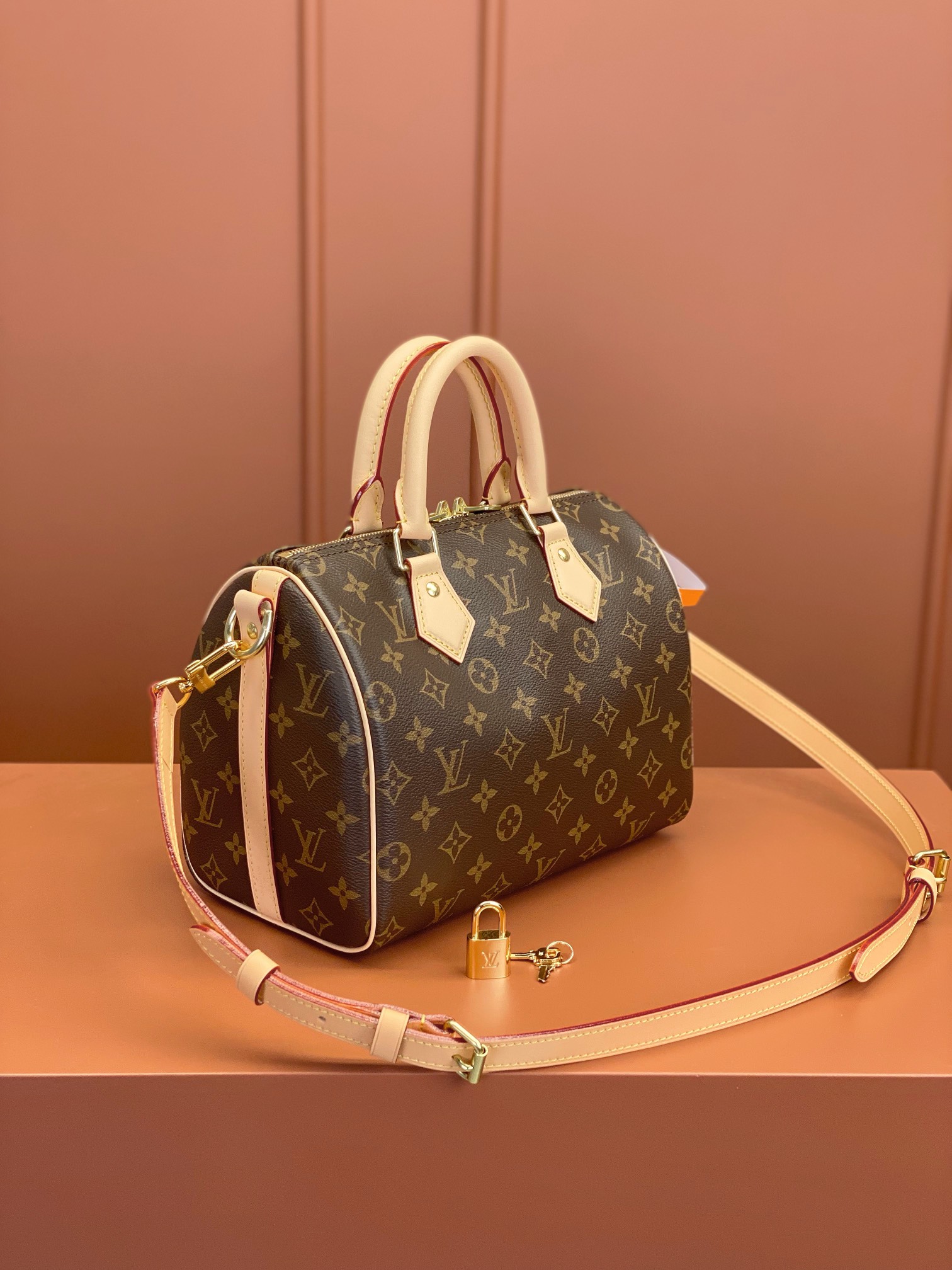 LV Bag