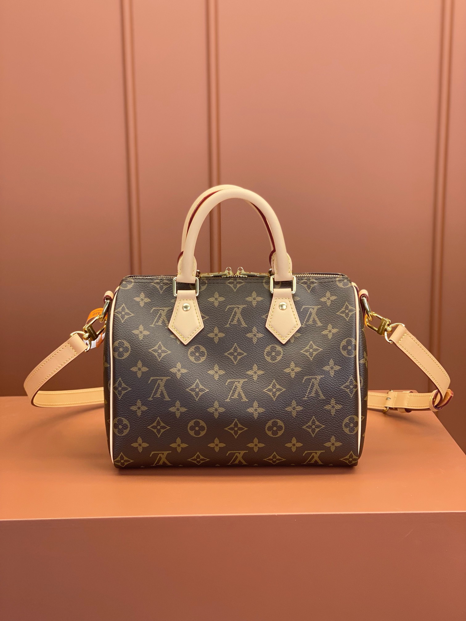 LV Bag