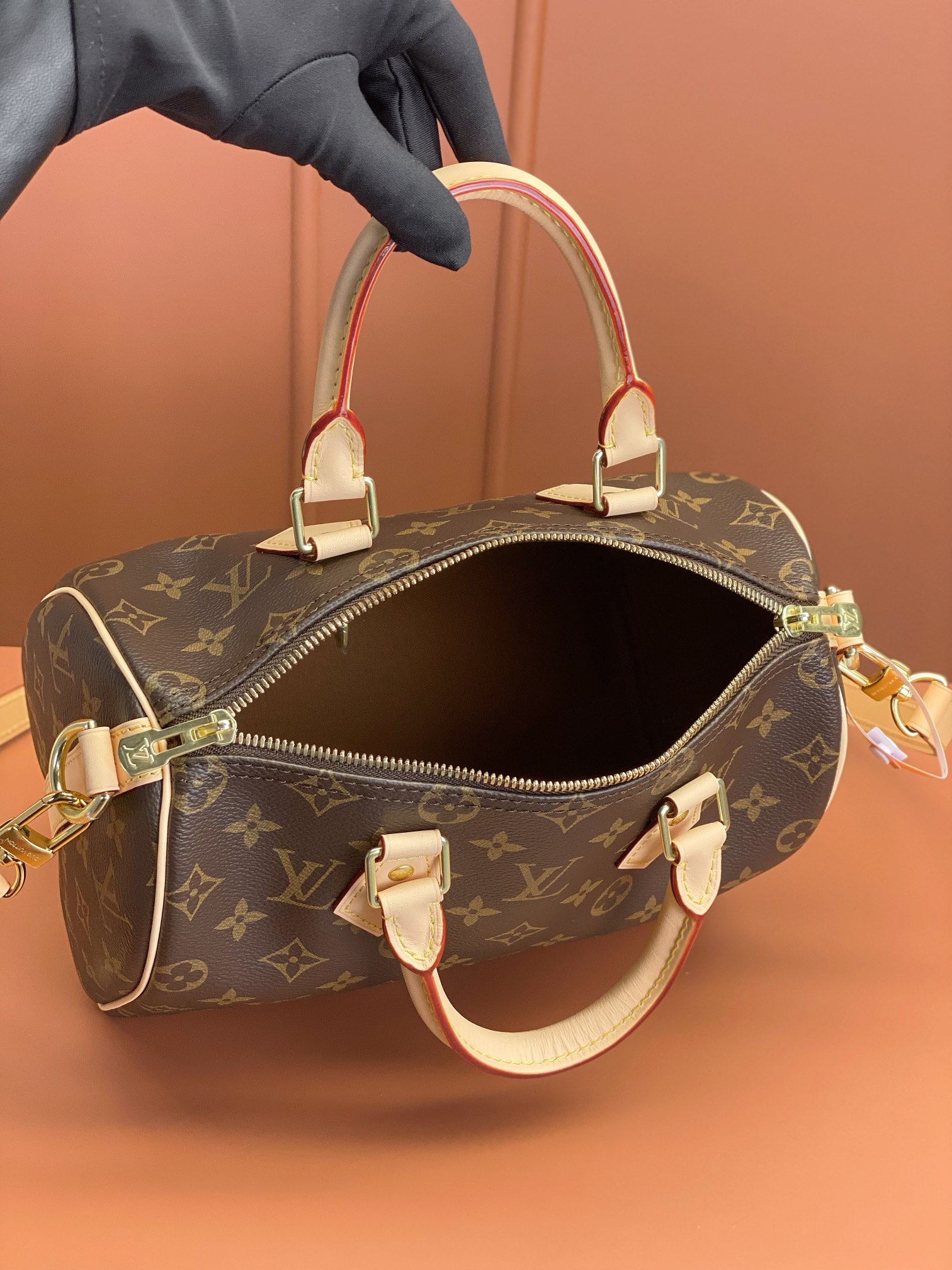 LV Bag