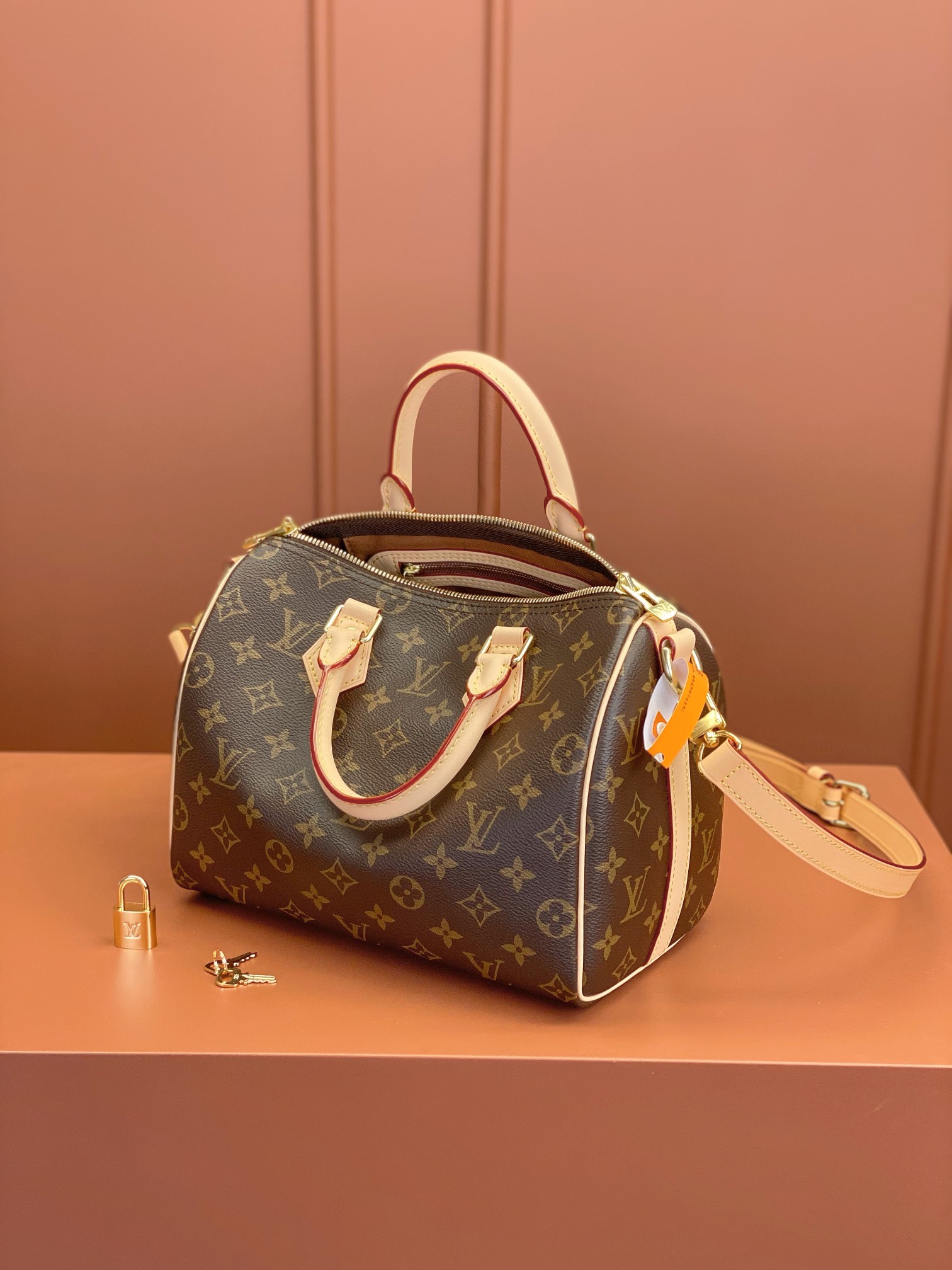 LV Bag