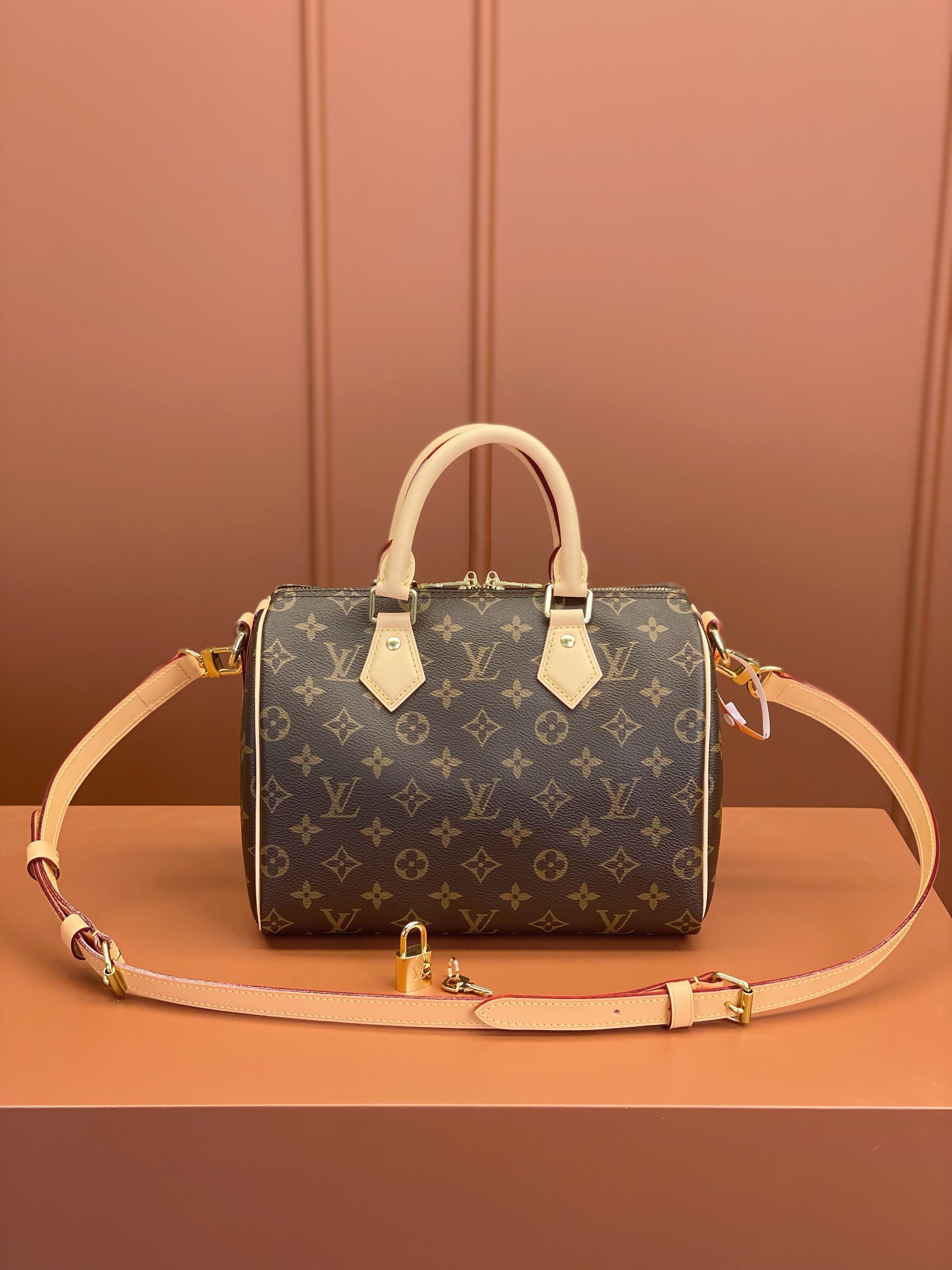 LV Bag