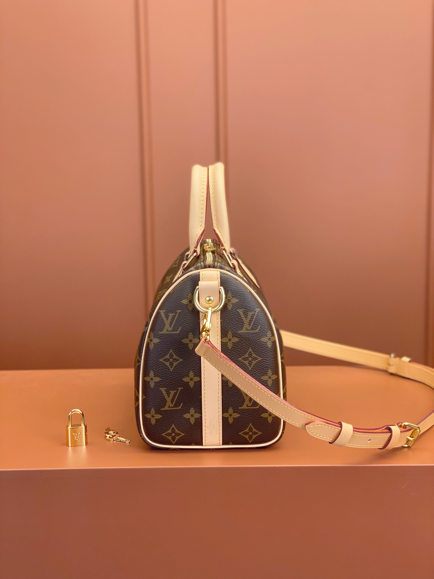 LV Bag