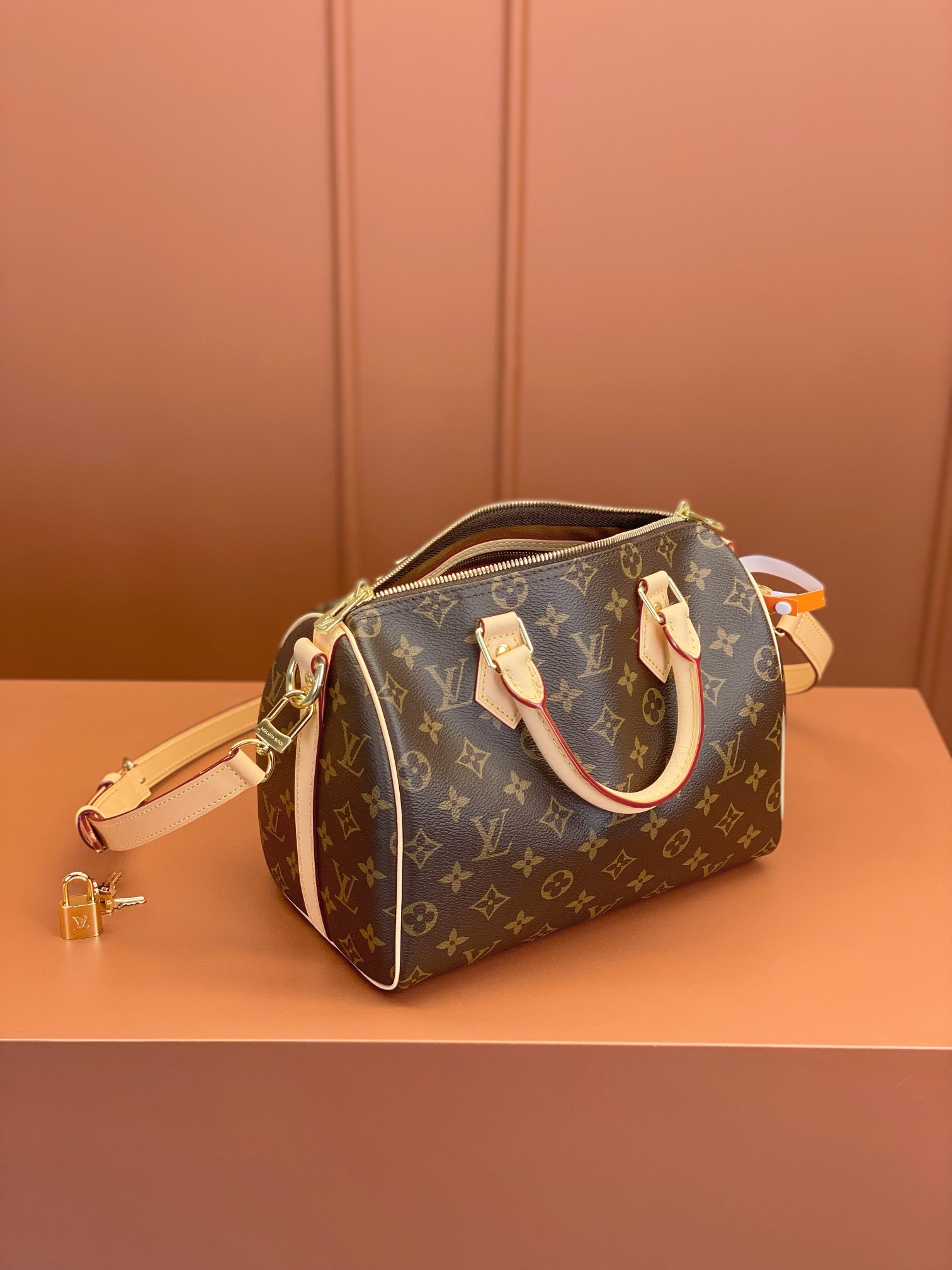 LV Bag