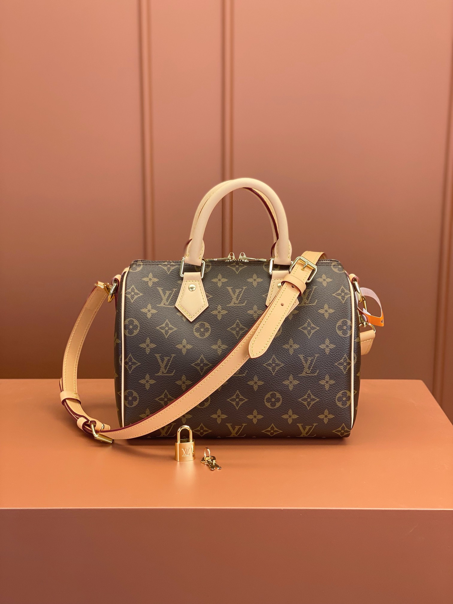 LV Bag