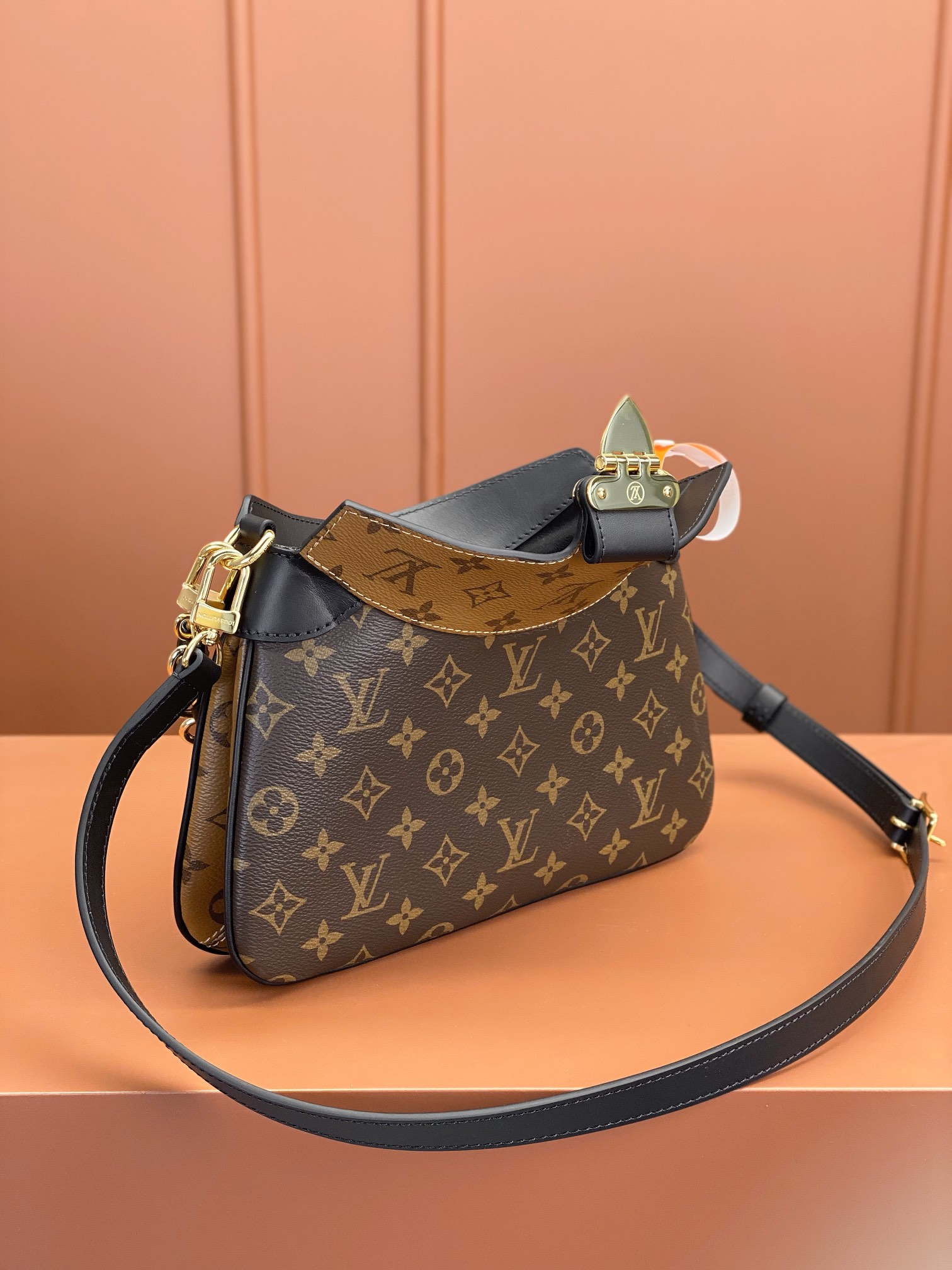 LV Bag