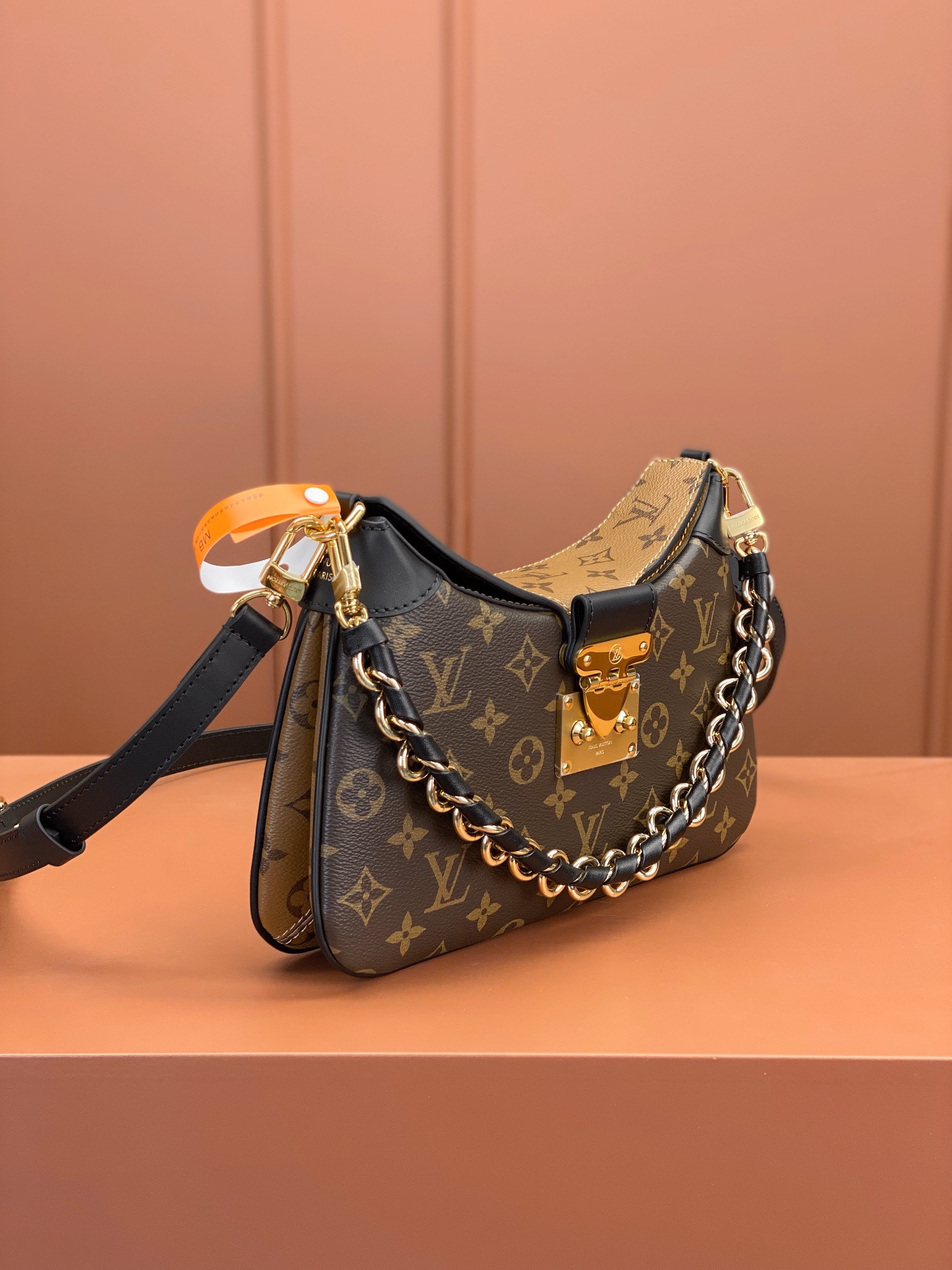 LV Bag