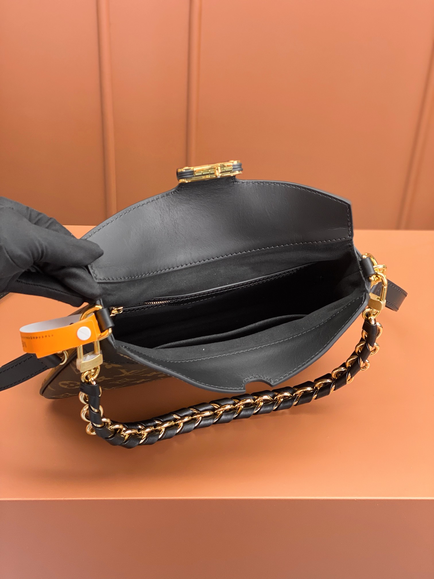 LV Bag