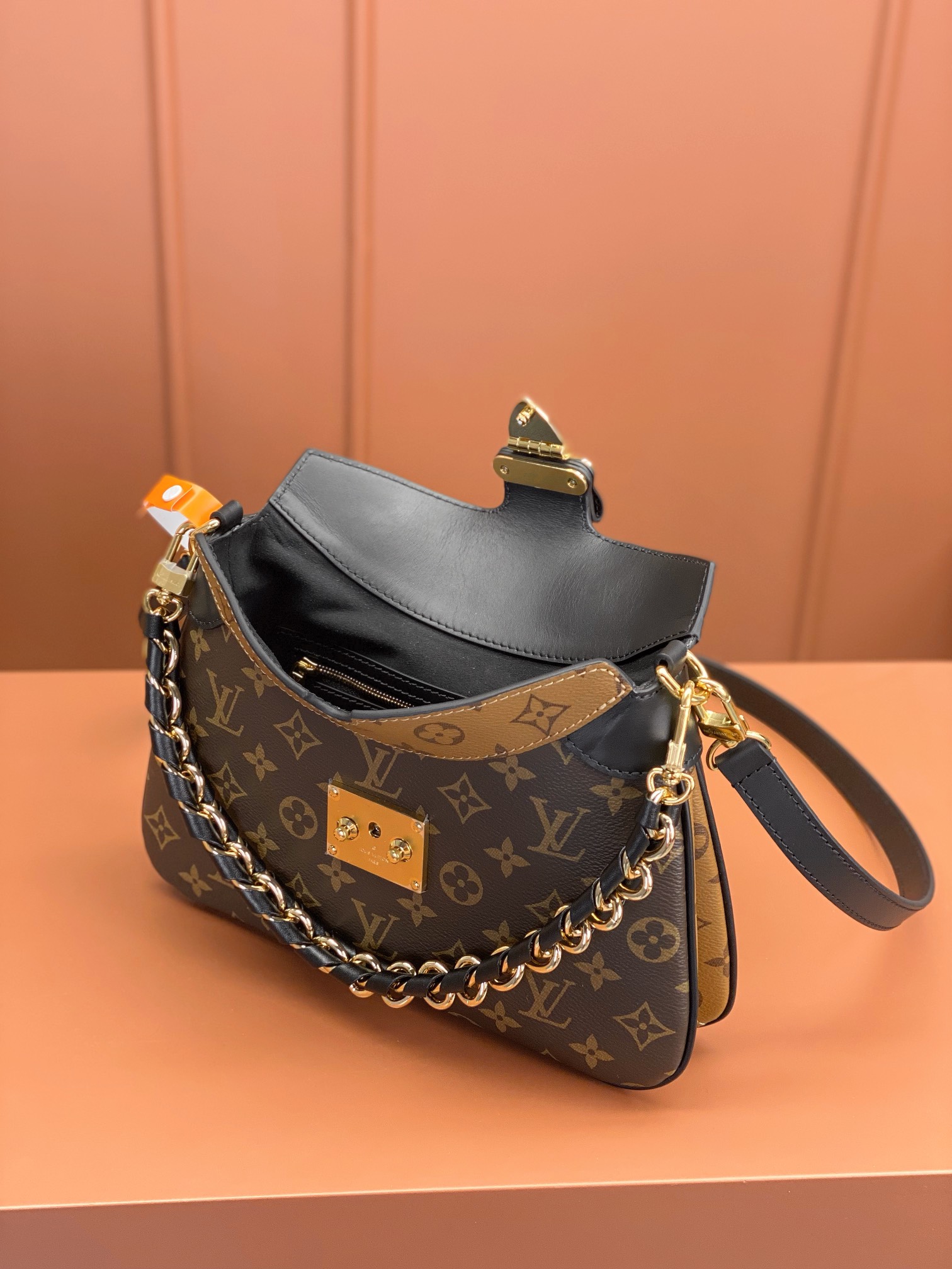 LV Bag