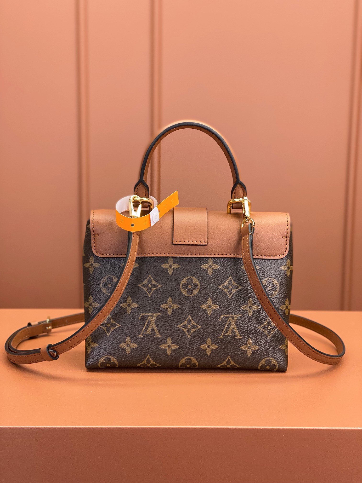 LV Bag