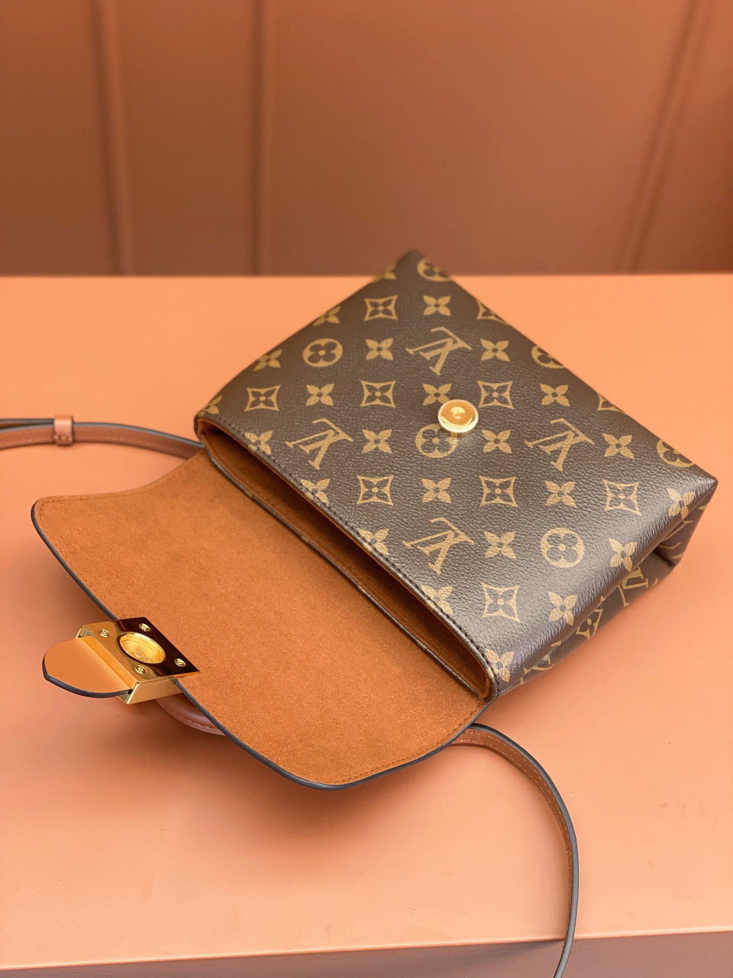 LV Bag