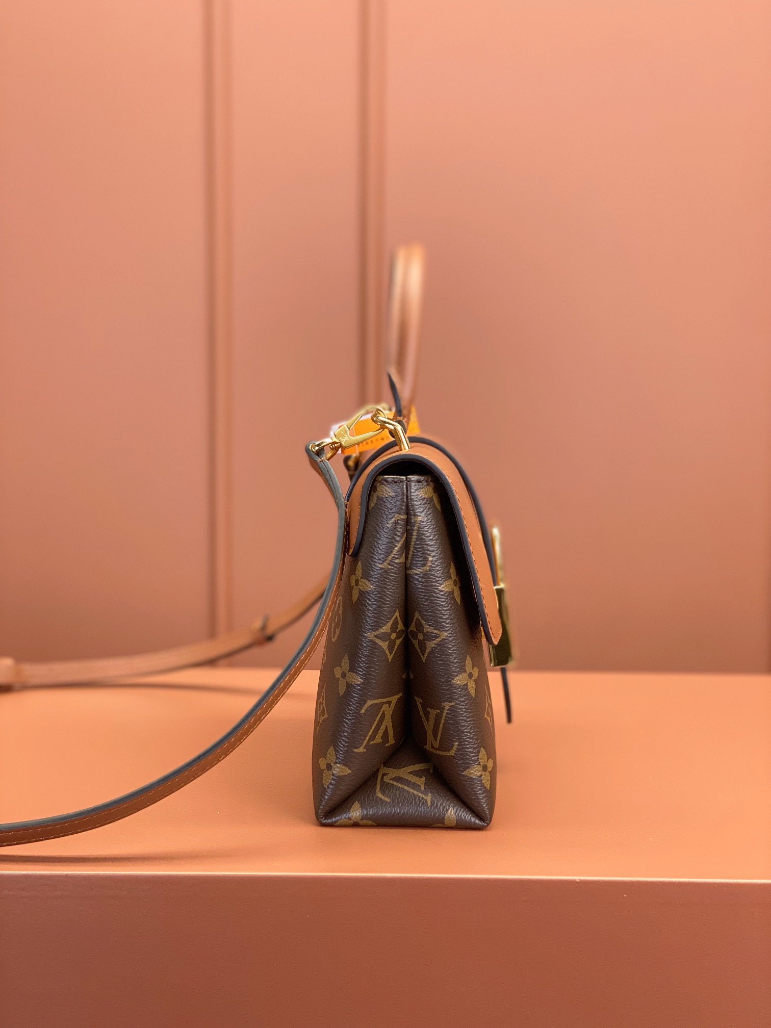 LV Bag