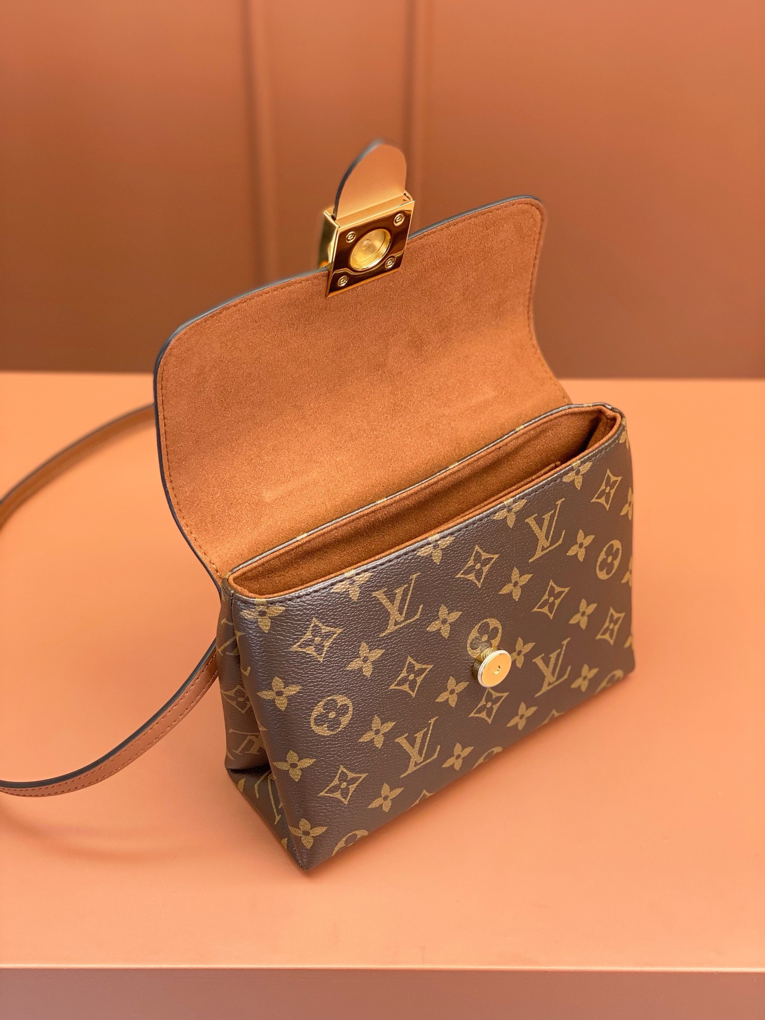 LV Bag