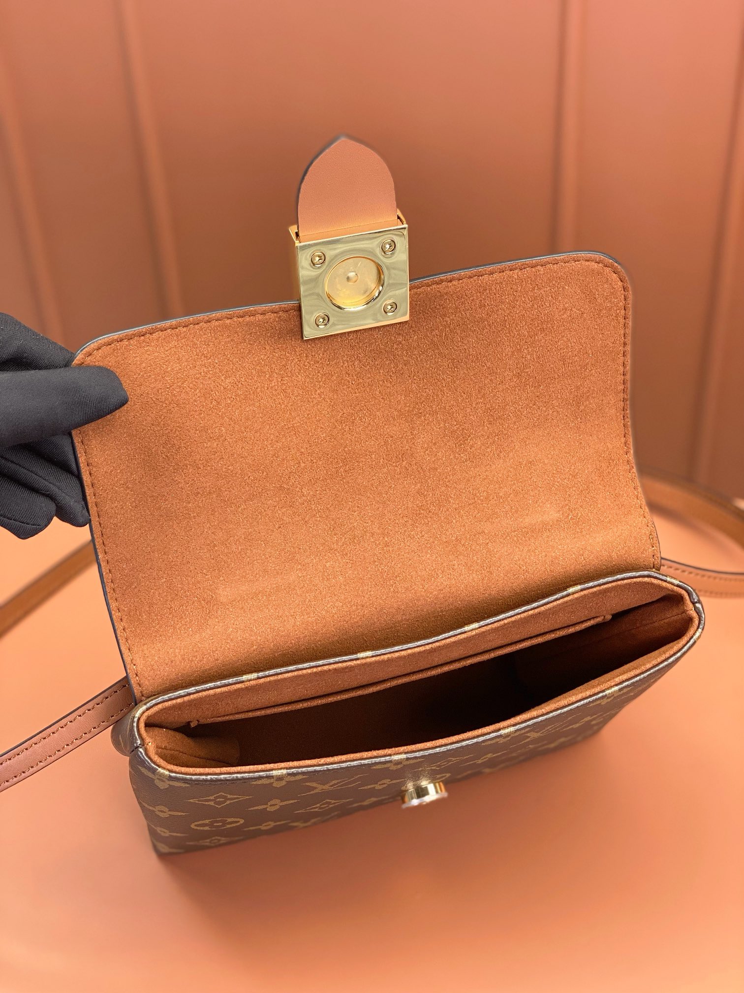 LV Bag