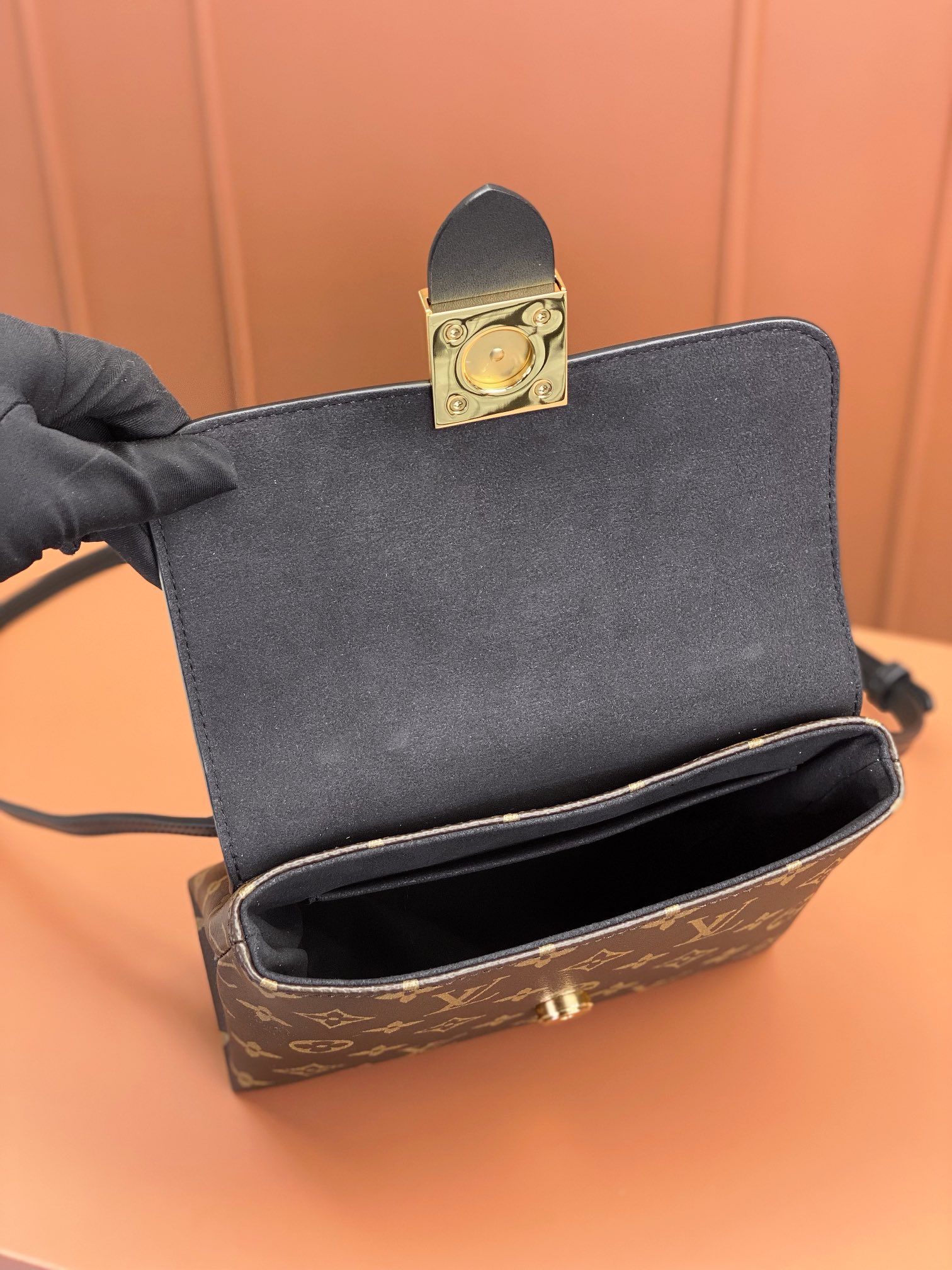 LV Bag