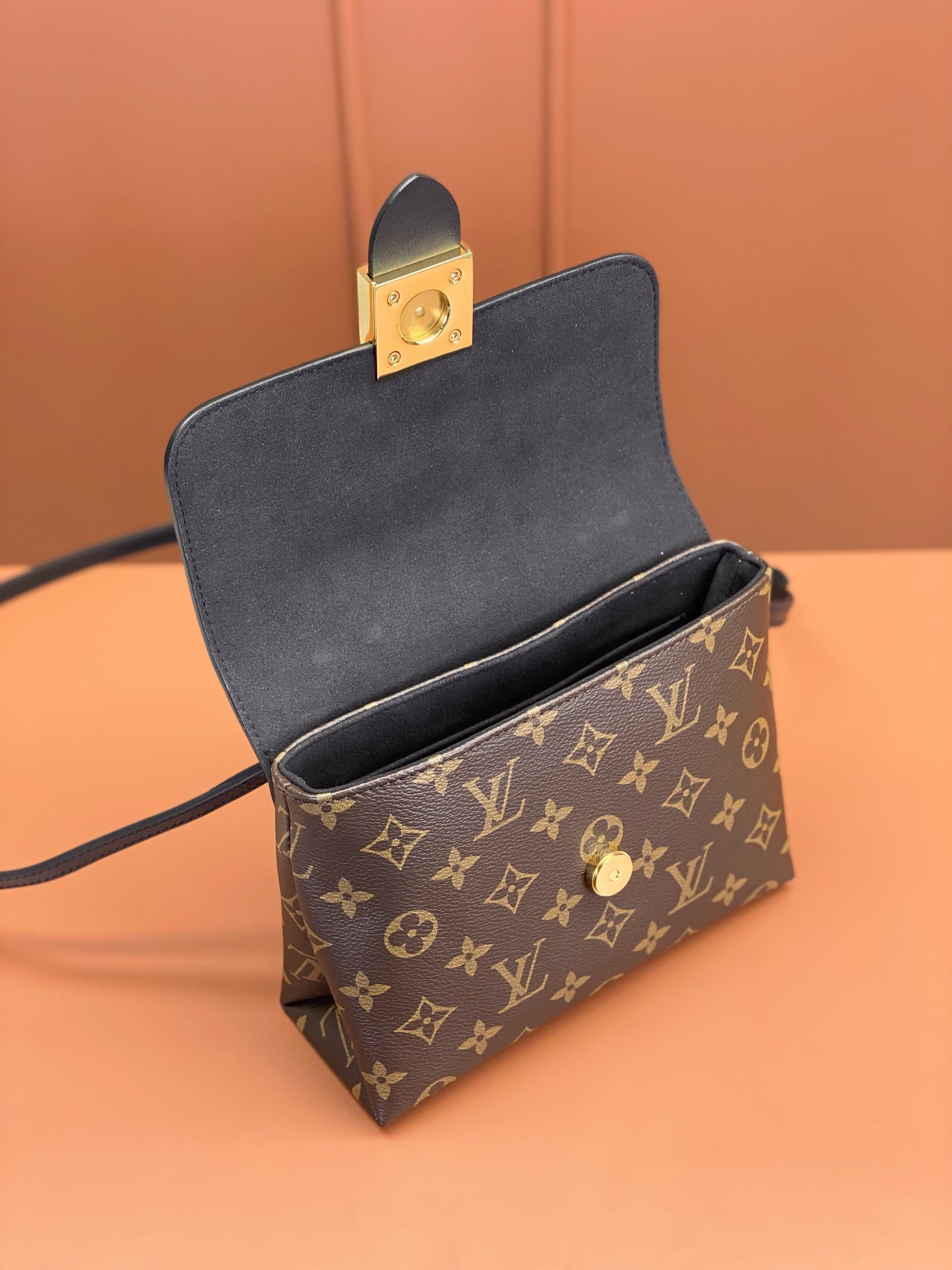 LV Bag