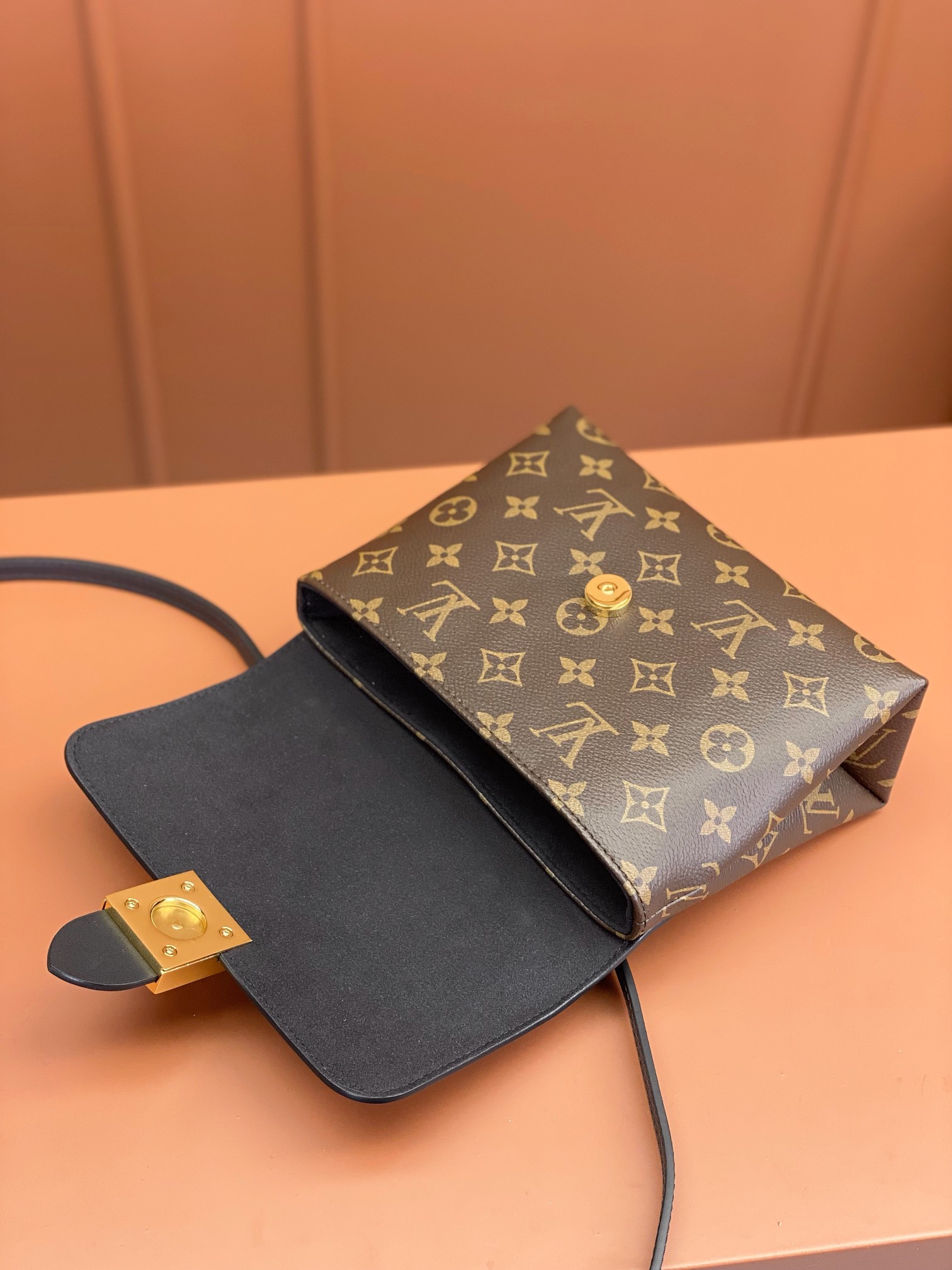 LV Bag