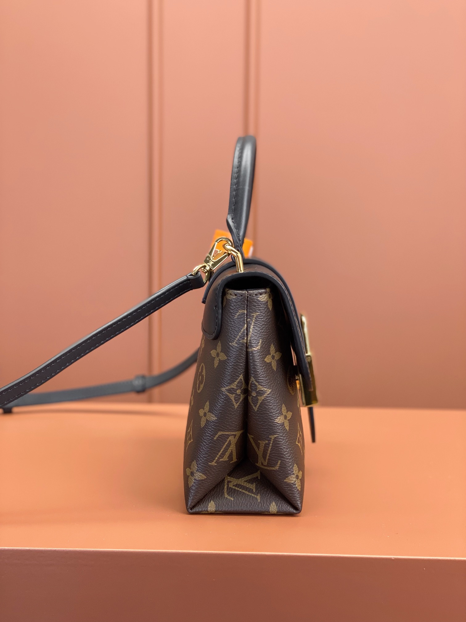 LV Bag