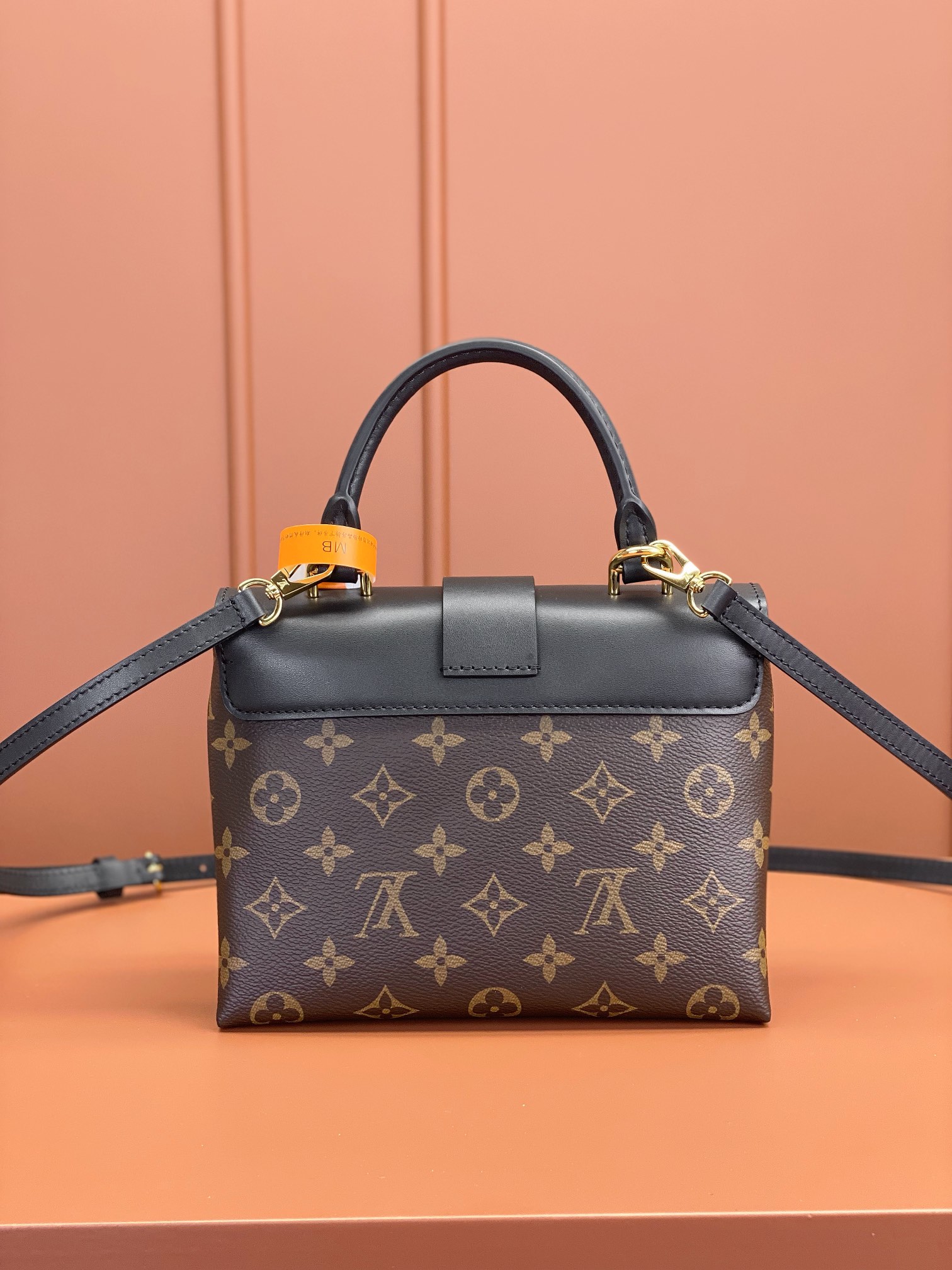 LV Bag
