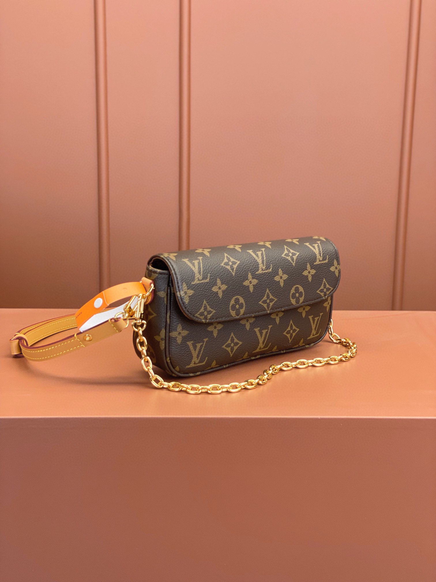 LV Bag