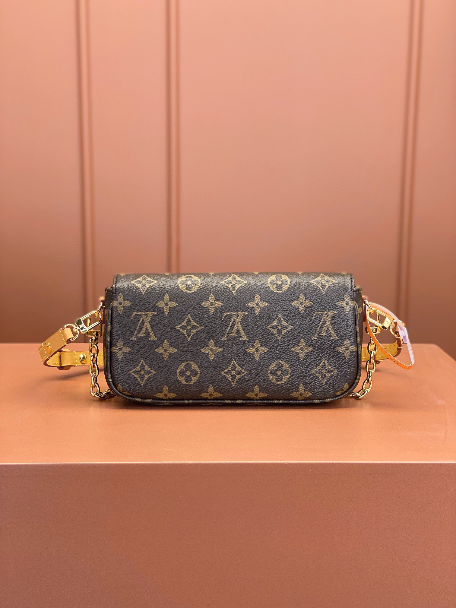 LV Bag