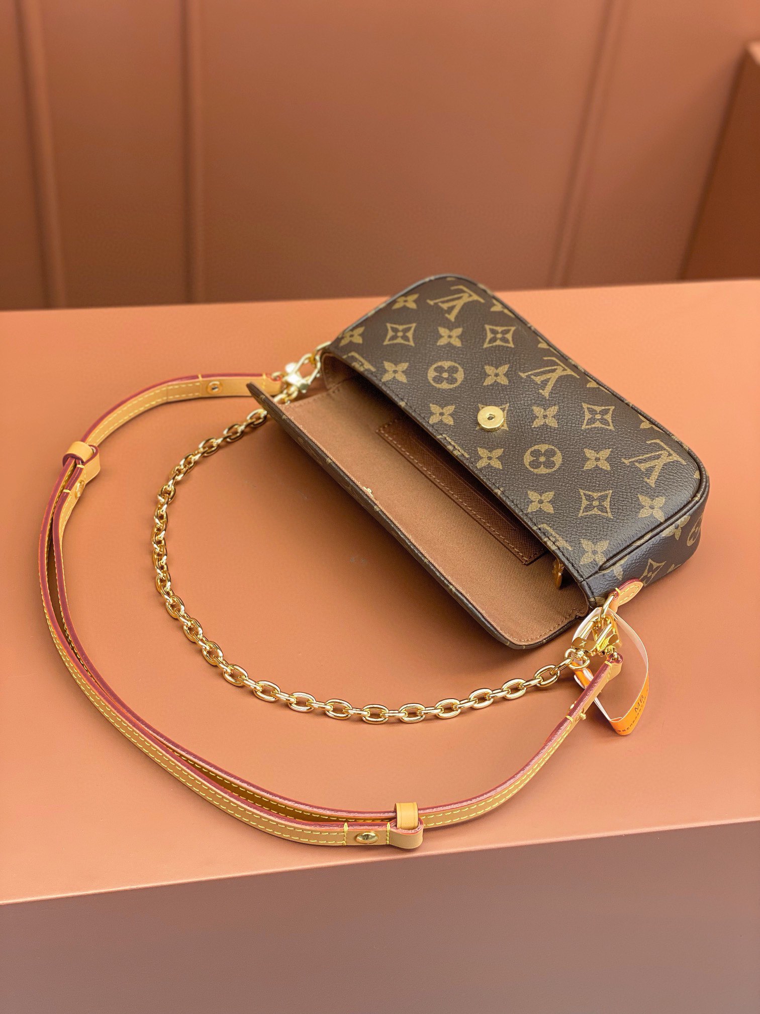 LV Bag