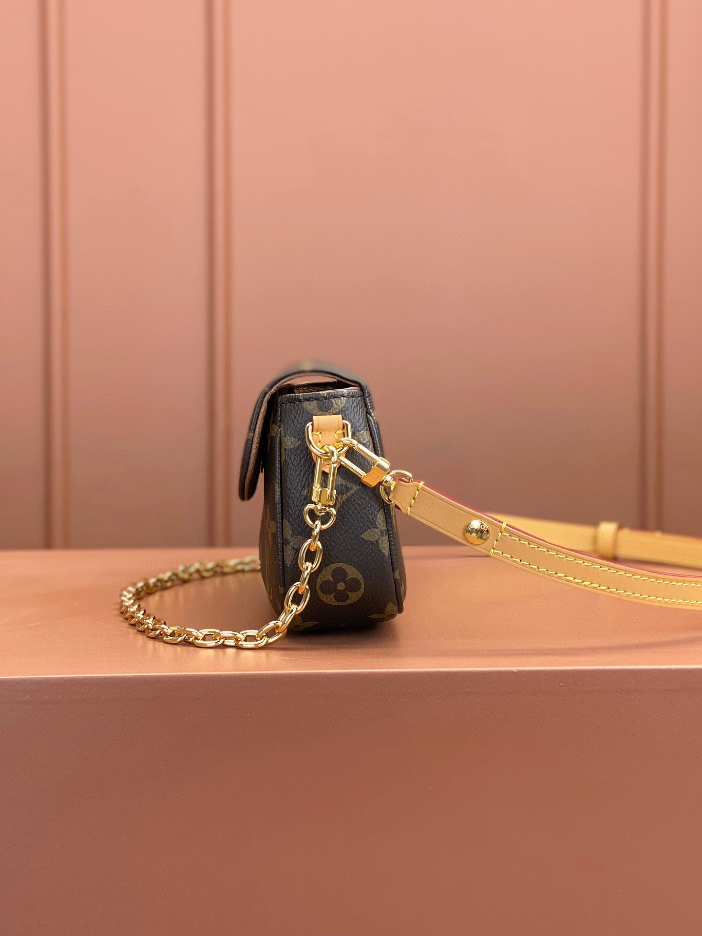 LV Bag