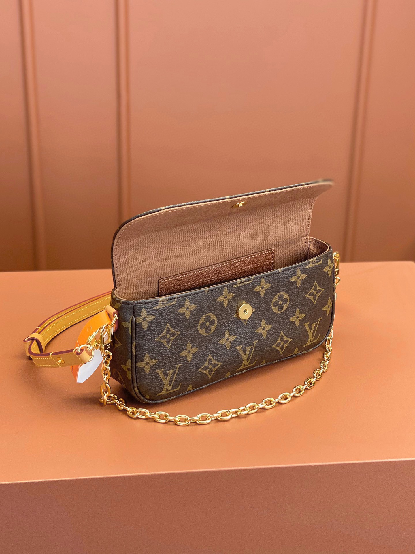 LV Bag