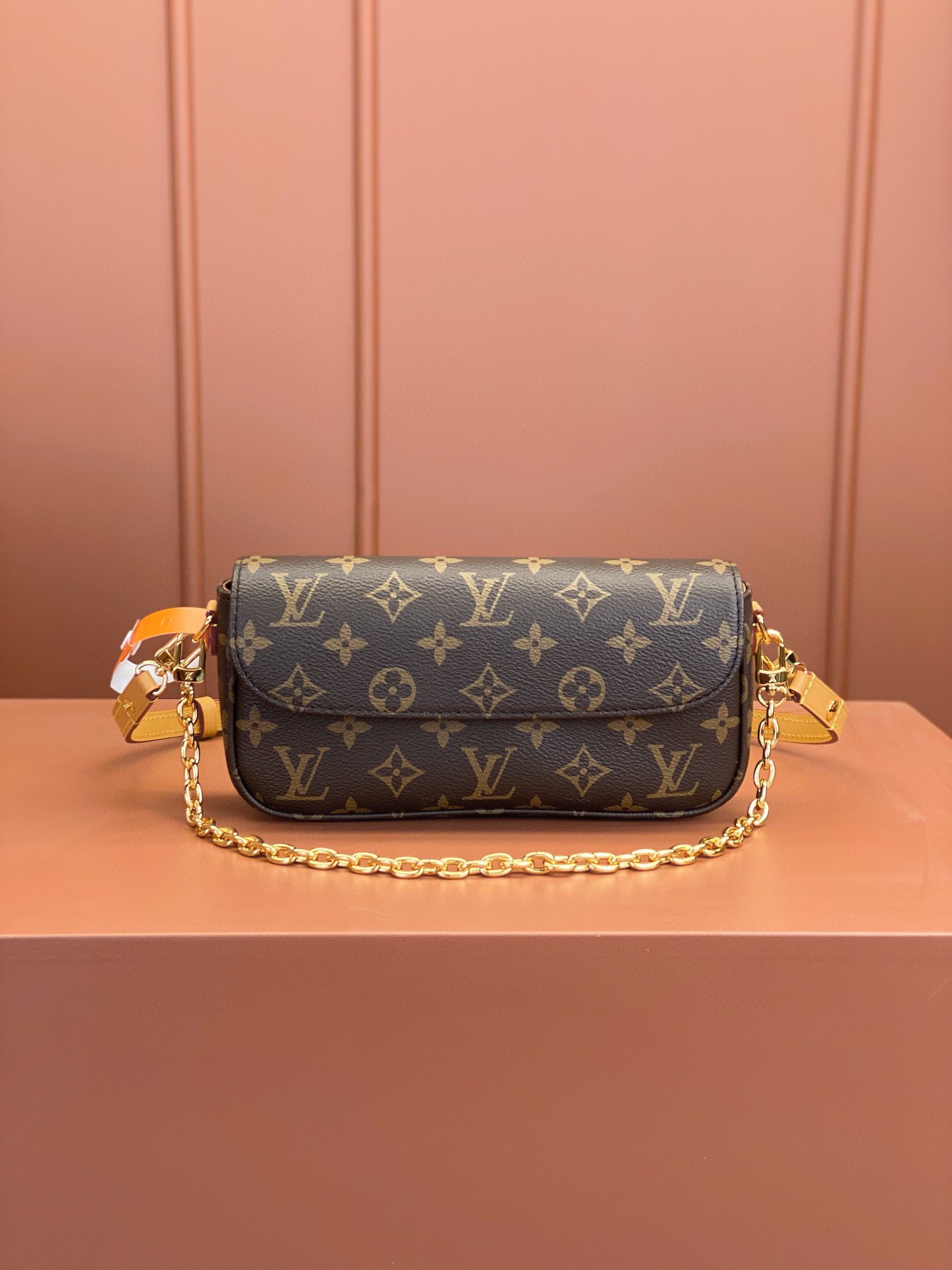 LV Bag
