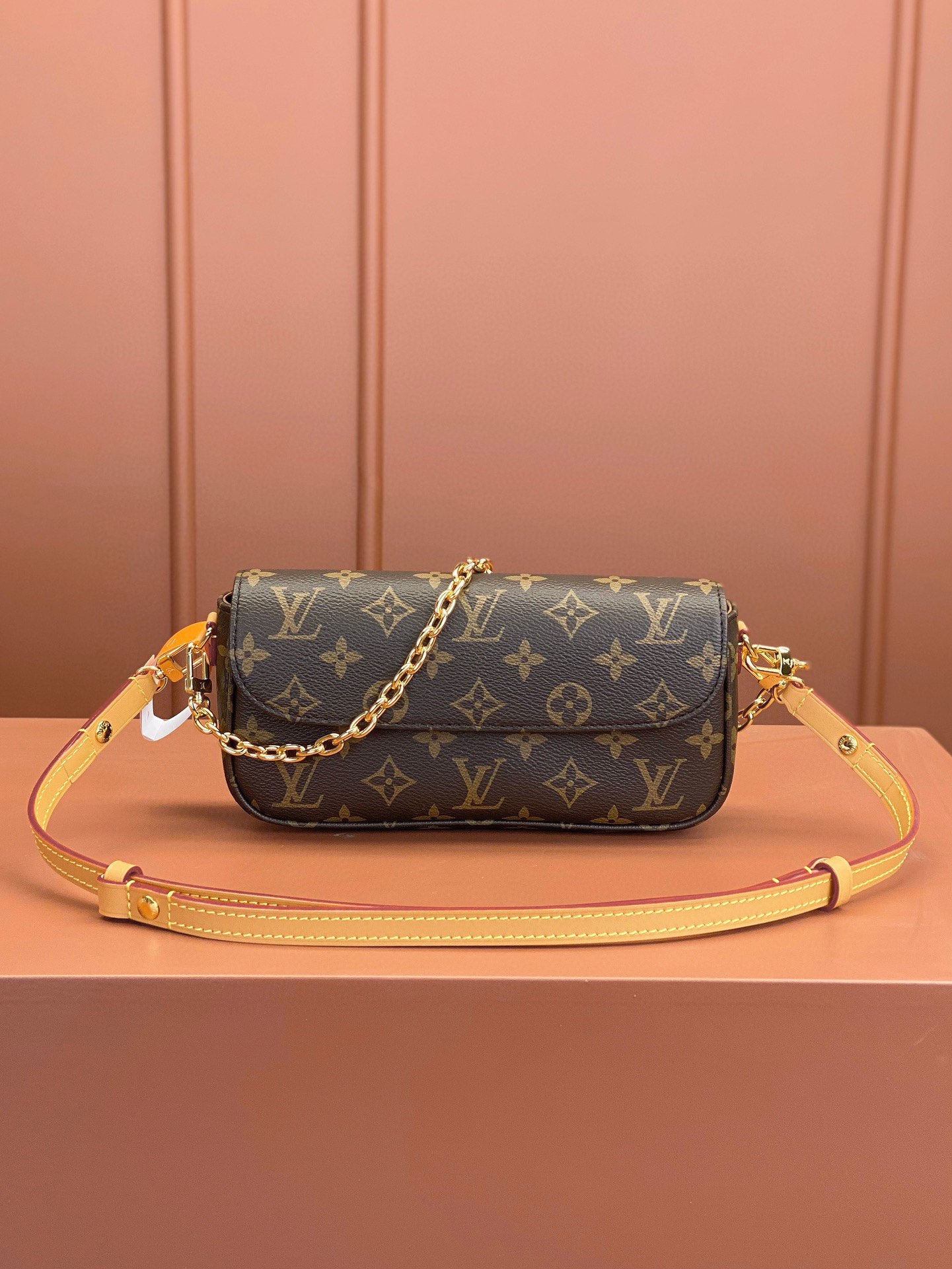 LV Bag
