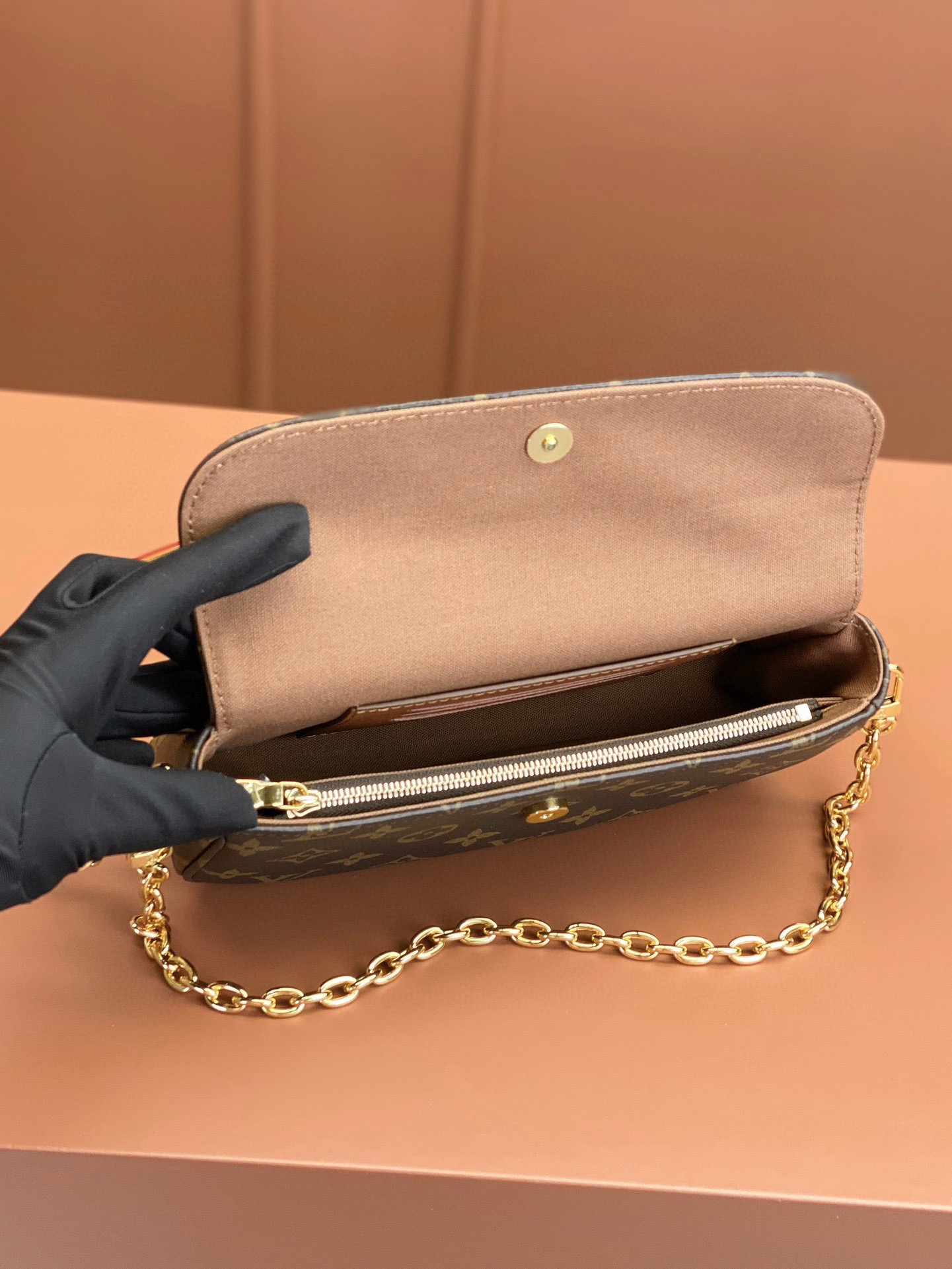 LV Bag