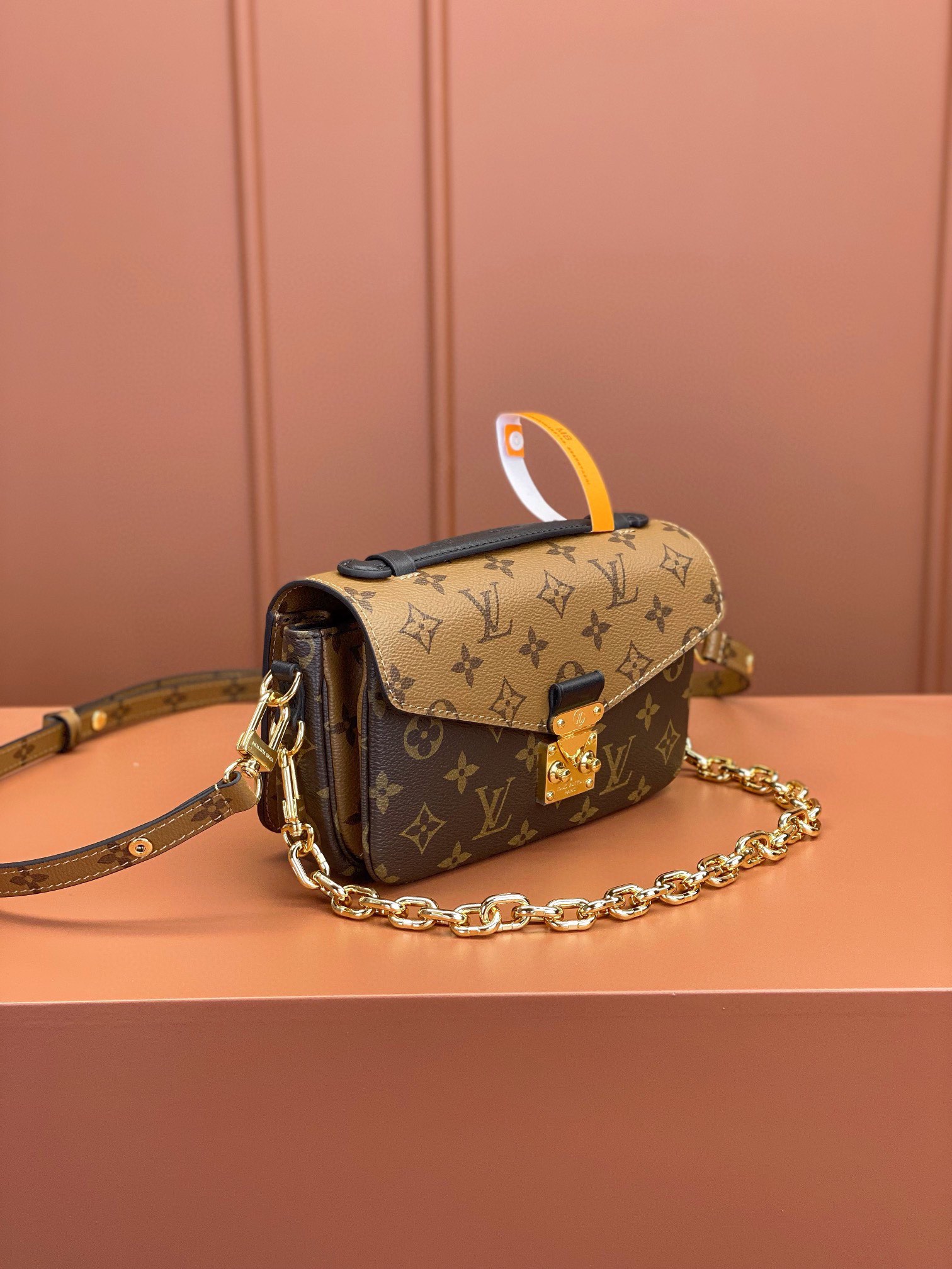 LV Bag