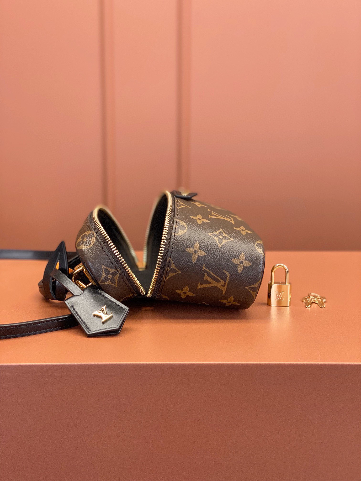LV Bag