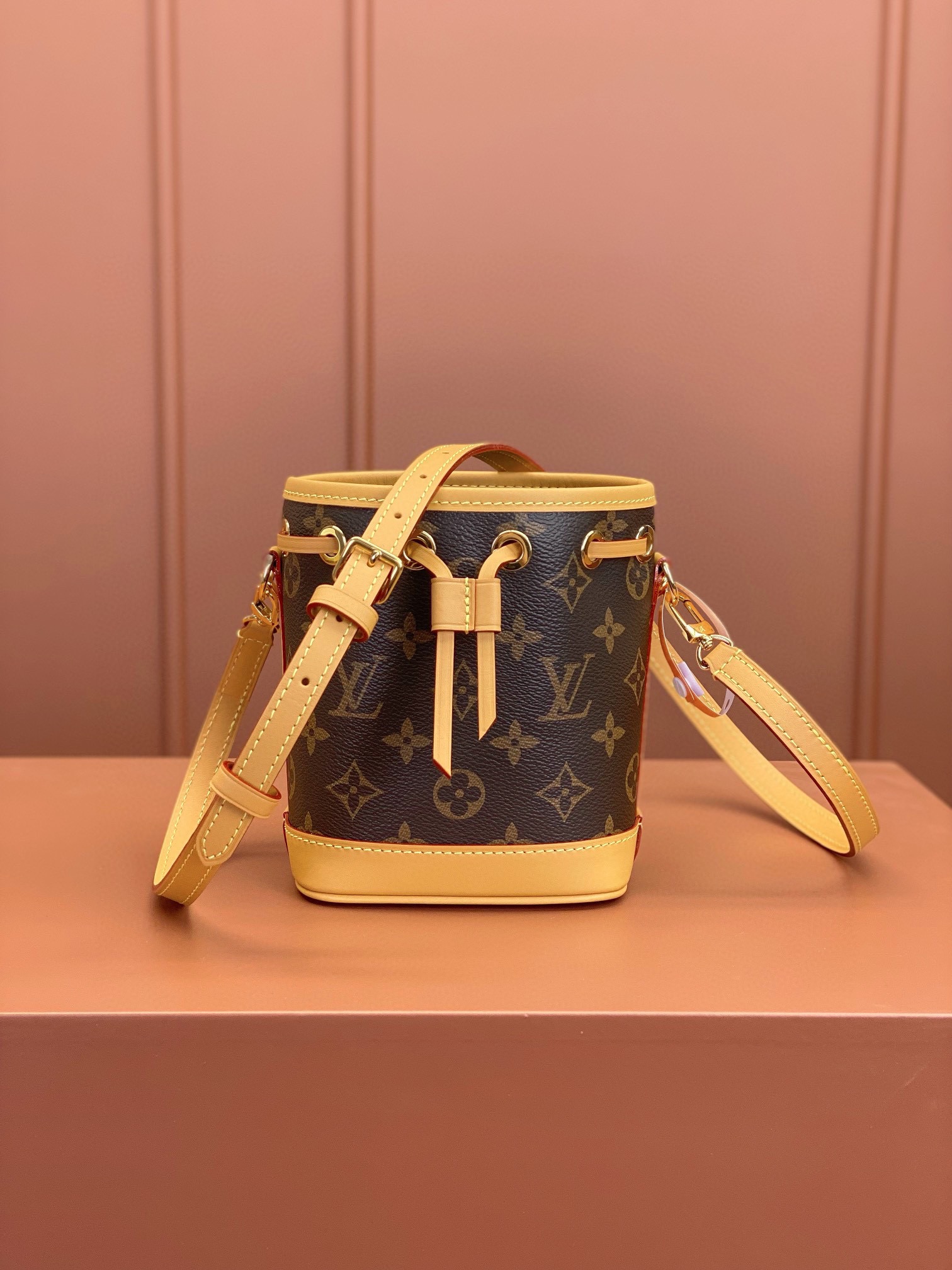 LV Bag