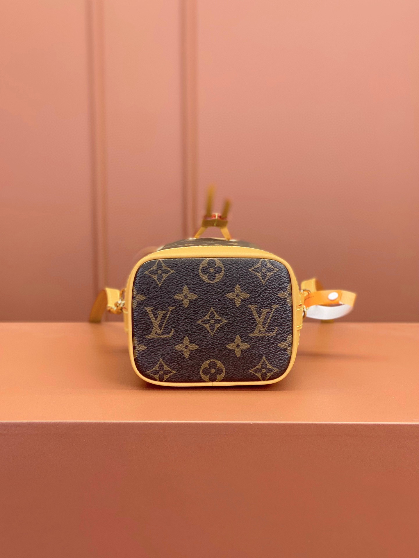 LV Bag
